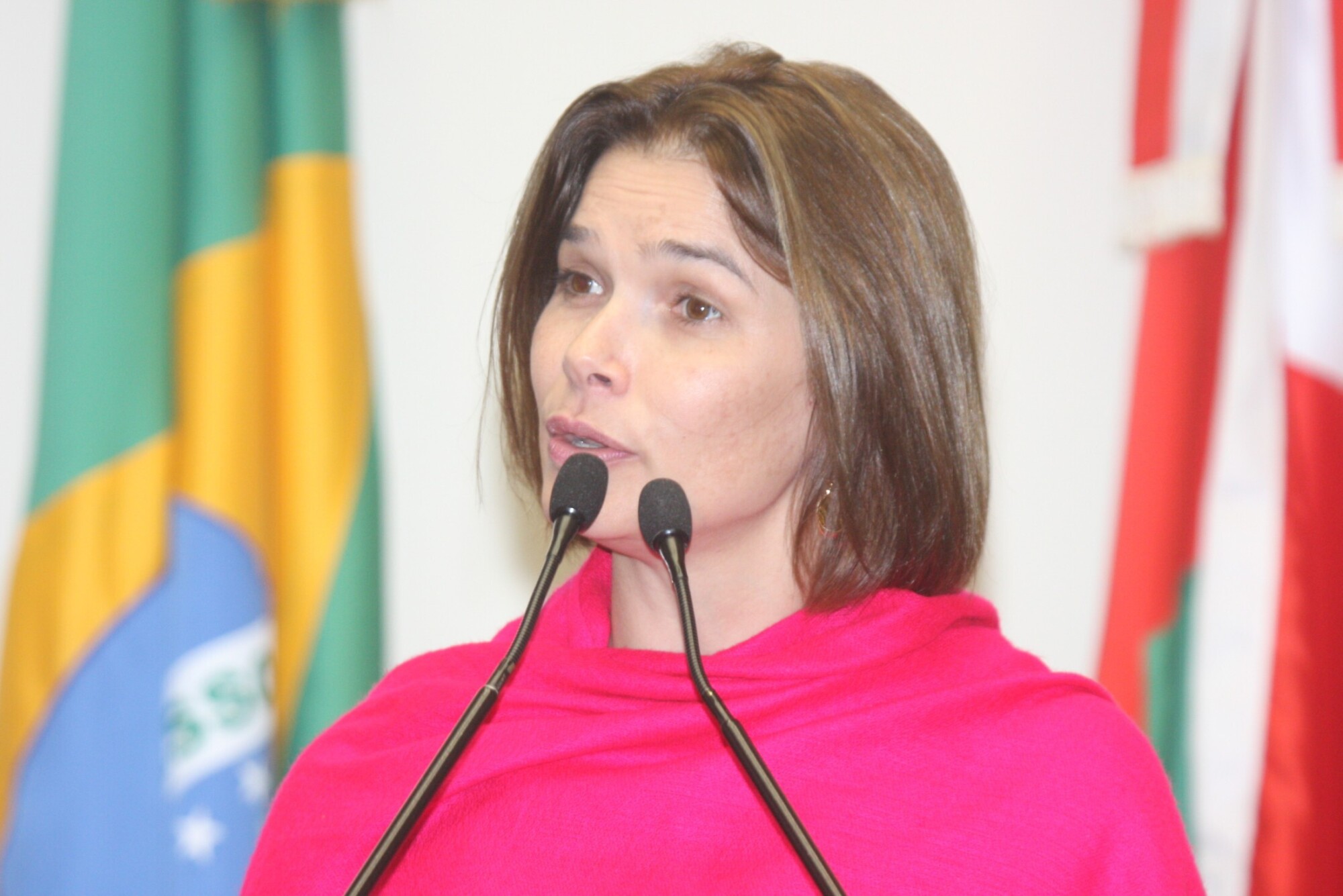 Dos Gabinetes – Angela Albino defende agilidade no projeto que cria Defensoria Pública