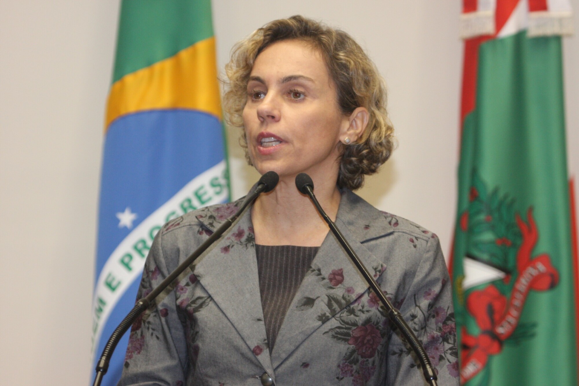 Dos Gabinetes – Deputada Ana Paula Lima apresenta projeto de leique proíbe “Puxadas de Cavalos”