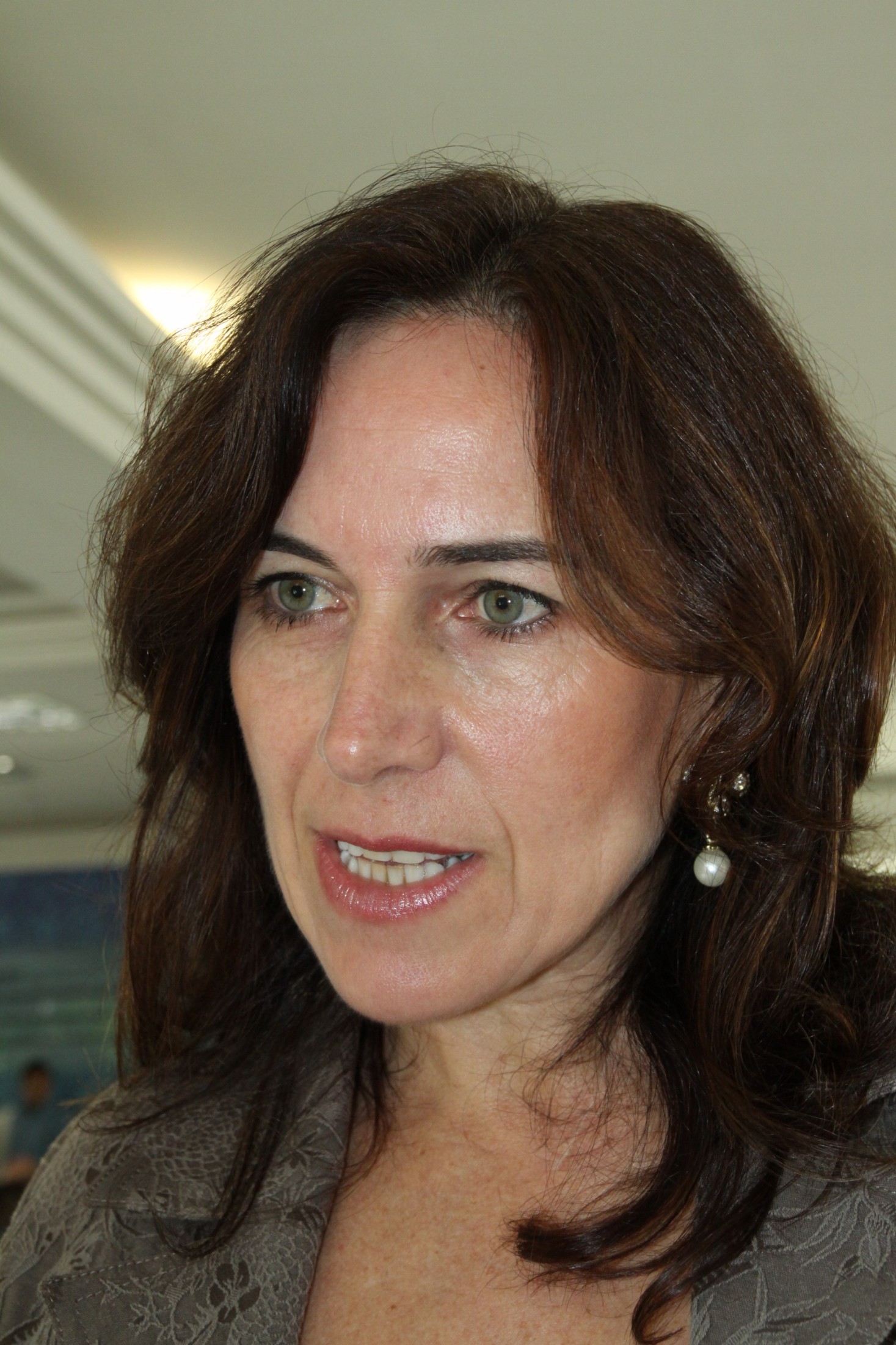 2º Encontro de Mulheres Parlamentares - Vereadora Silvana