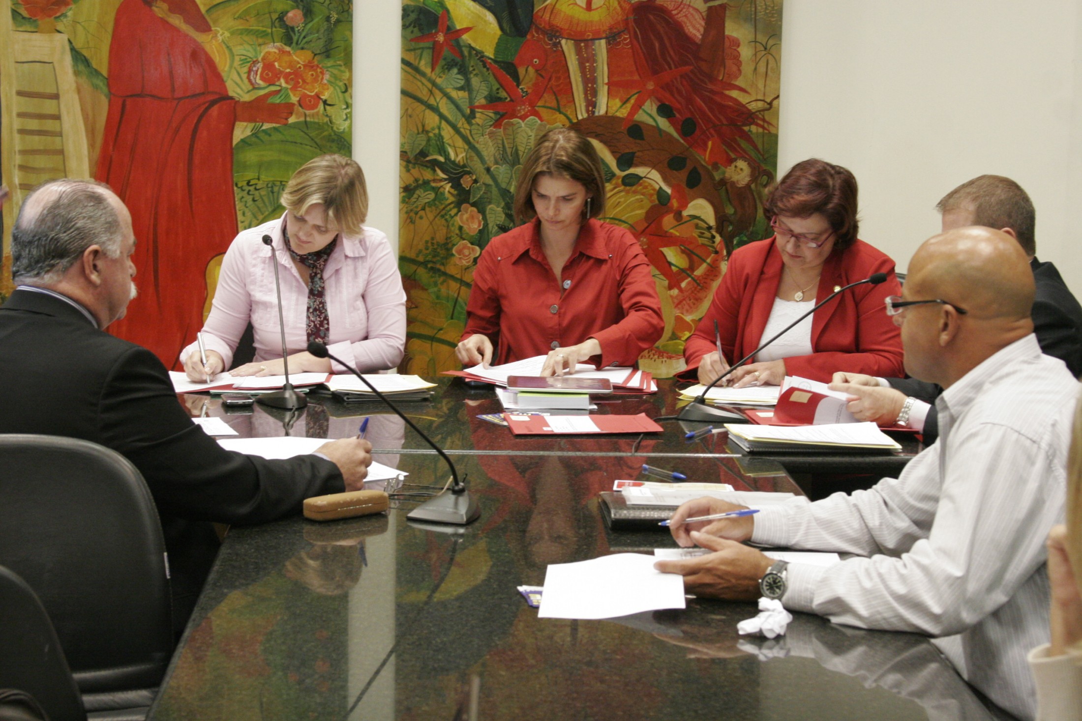 Reunião Extraordinária - Comissão Direitos e Garantias Fundamentais