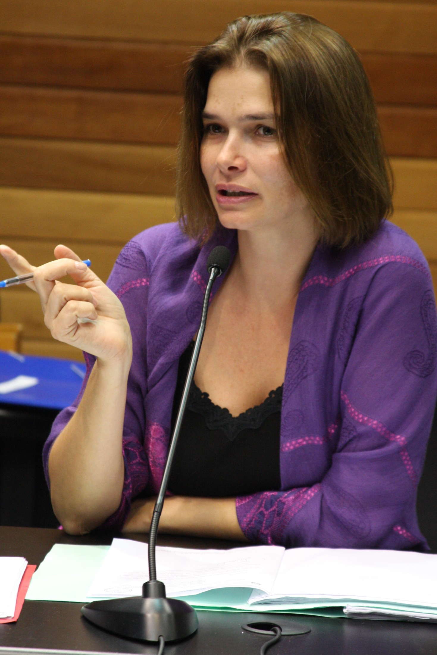 Aprovada lei instituindo o Dia Estadual de Anita Garibaldi
