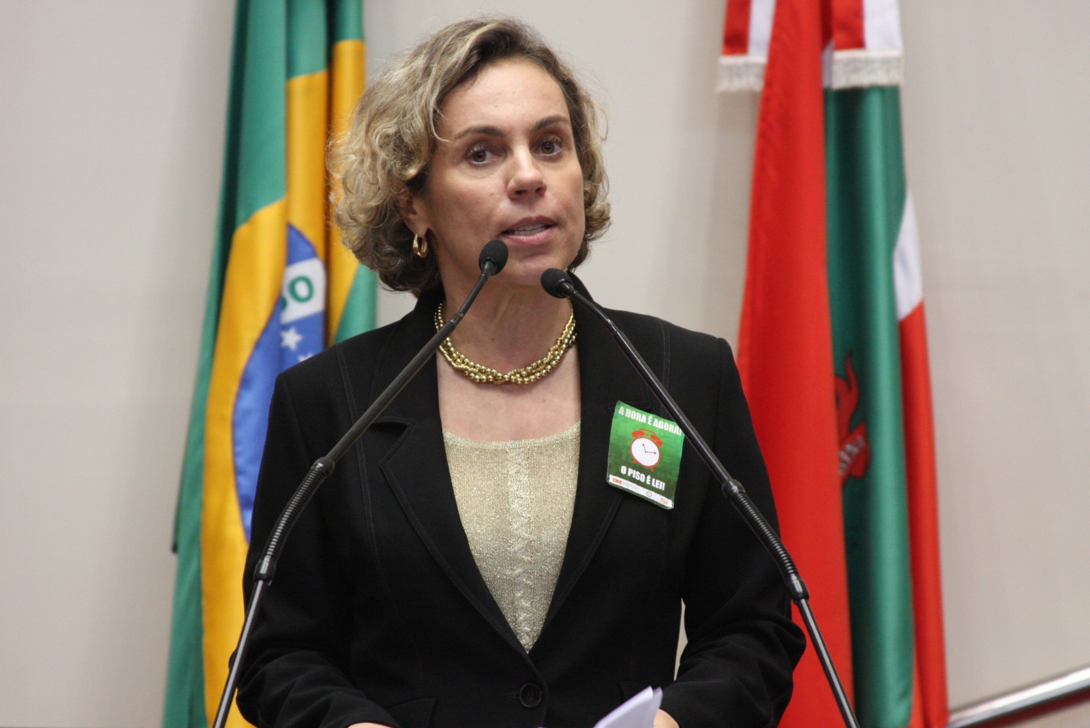 Deputada Ana Paula Lima (PT)