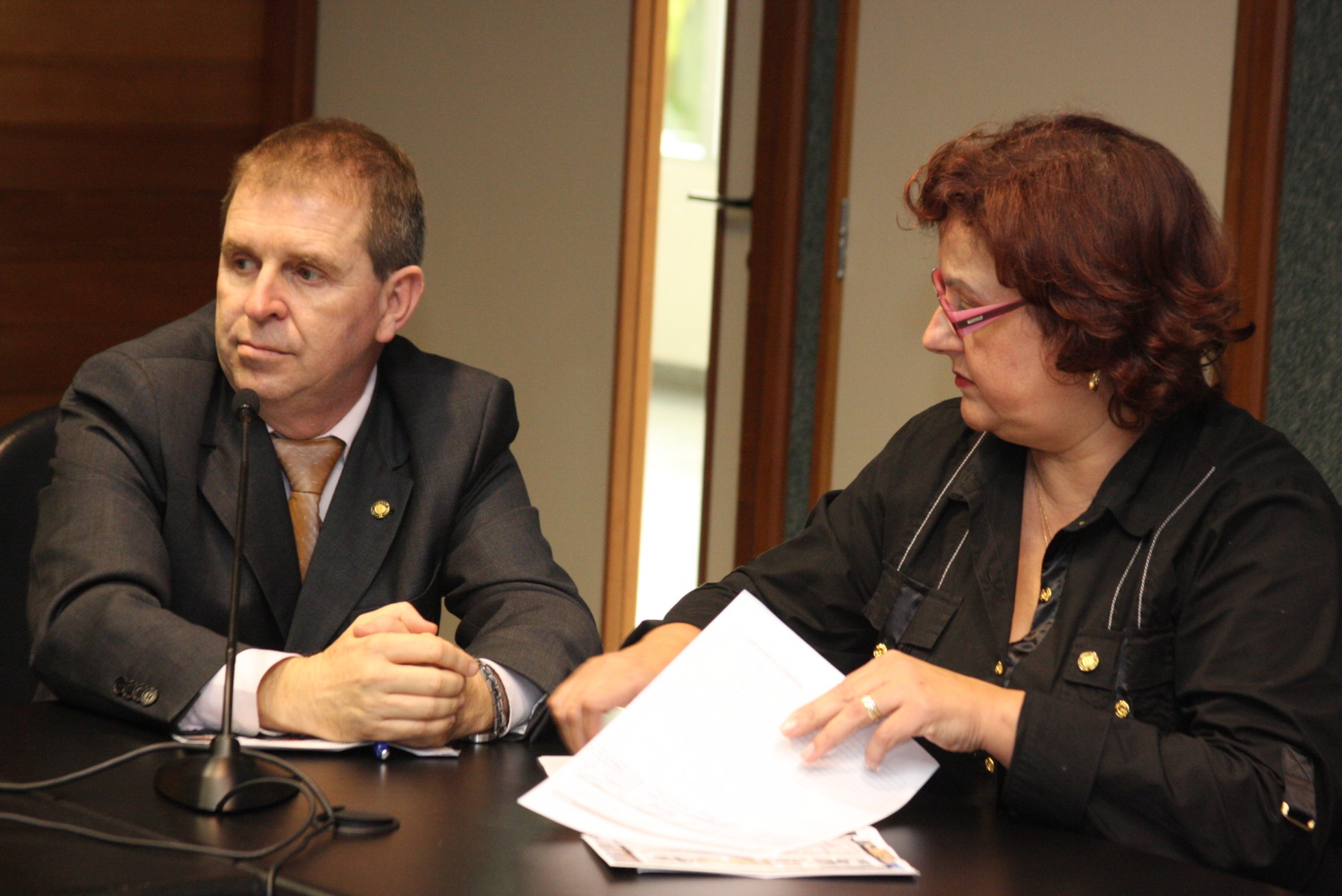 Reunião do Comitê Catarinense de Desarmamento