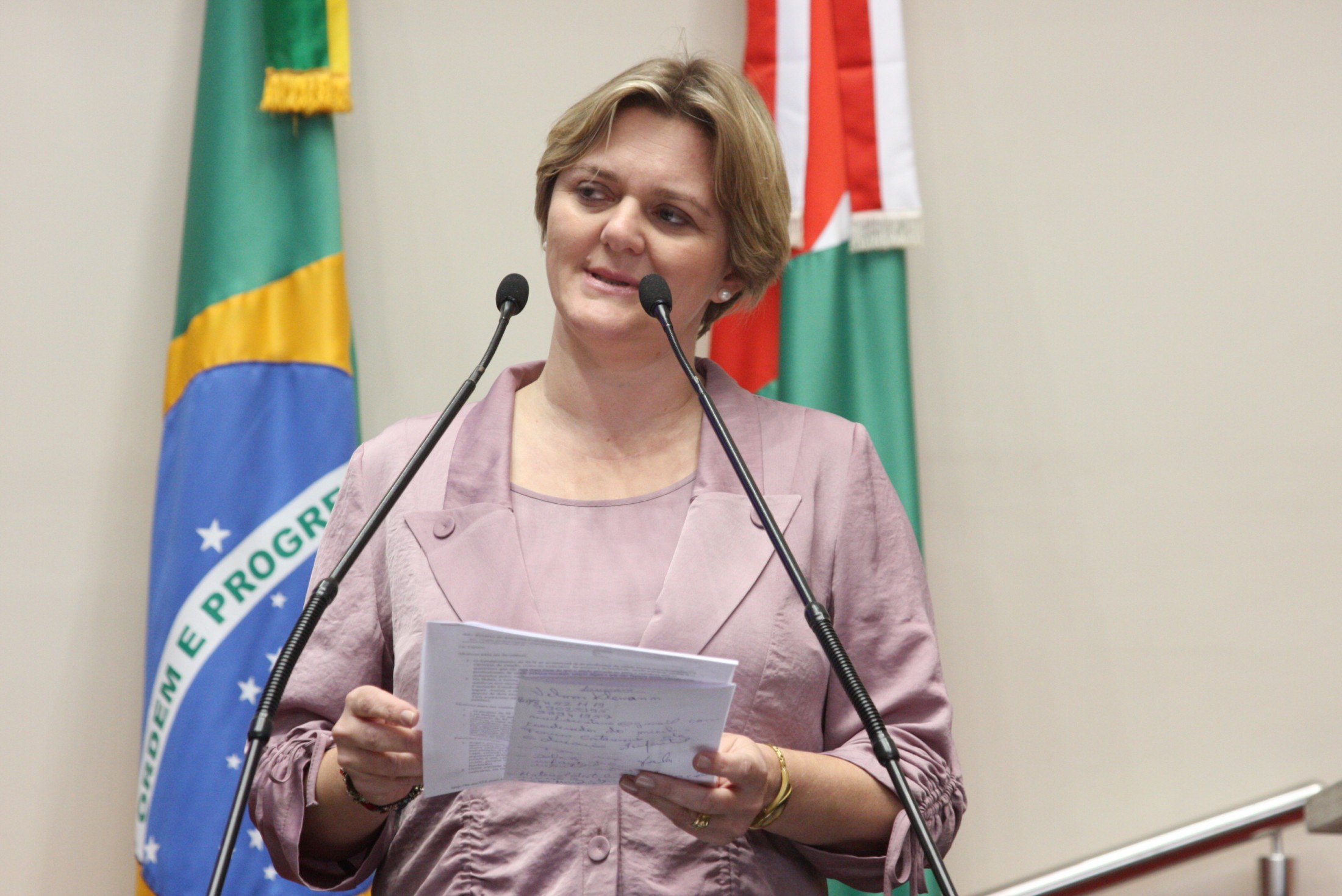 Deputada Luciane Carminatti (PT)