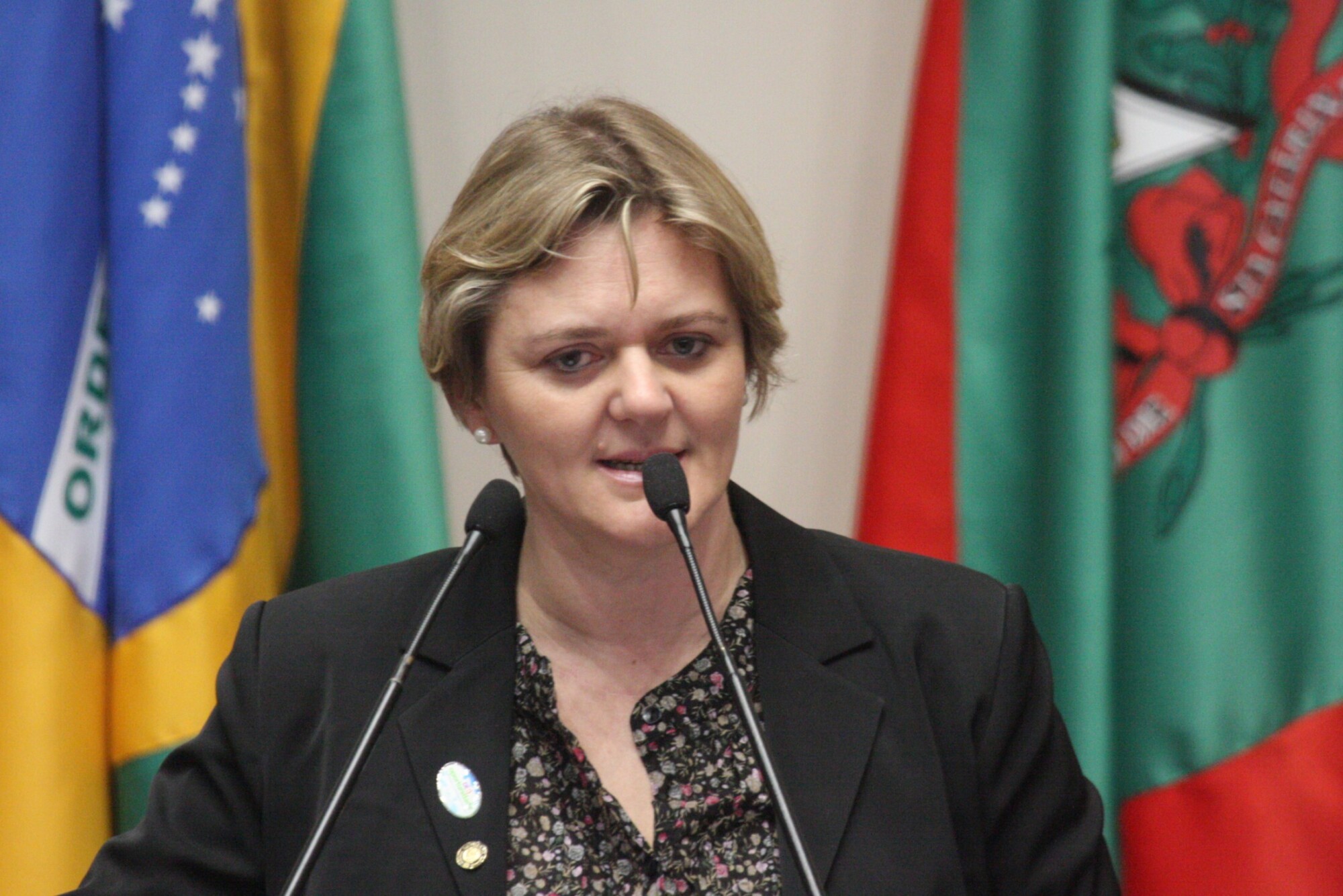 Dos Gabinetes- Luciane Carminatti aprova moção de apoio à luta do magistério catarinense