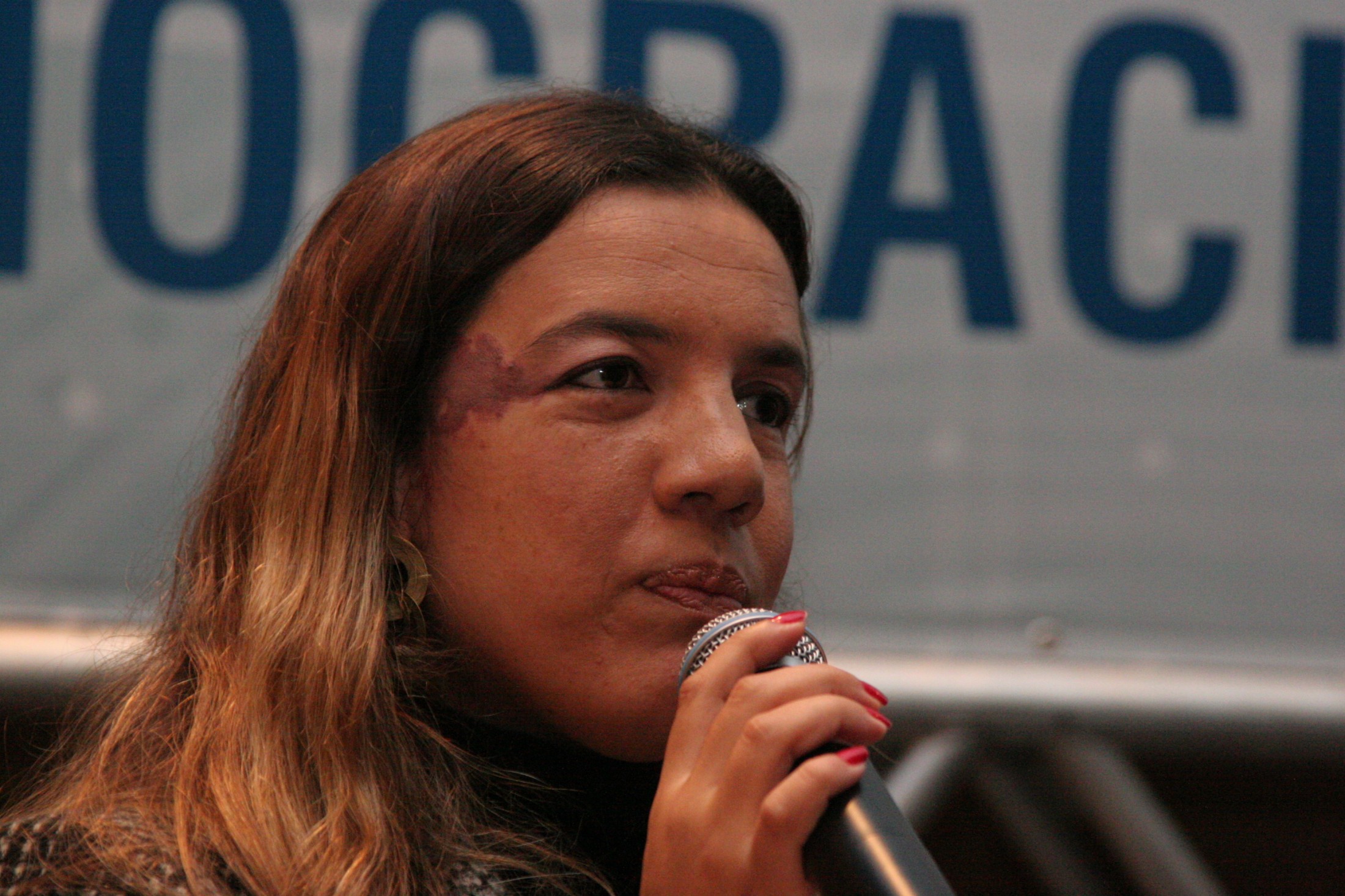 Seminário Internacional de Mídias Legislativas - Plataformas Tecnológicas
