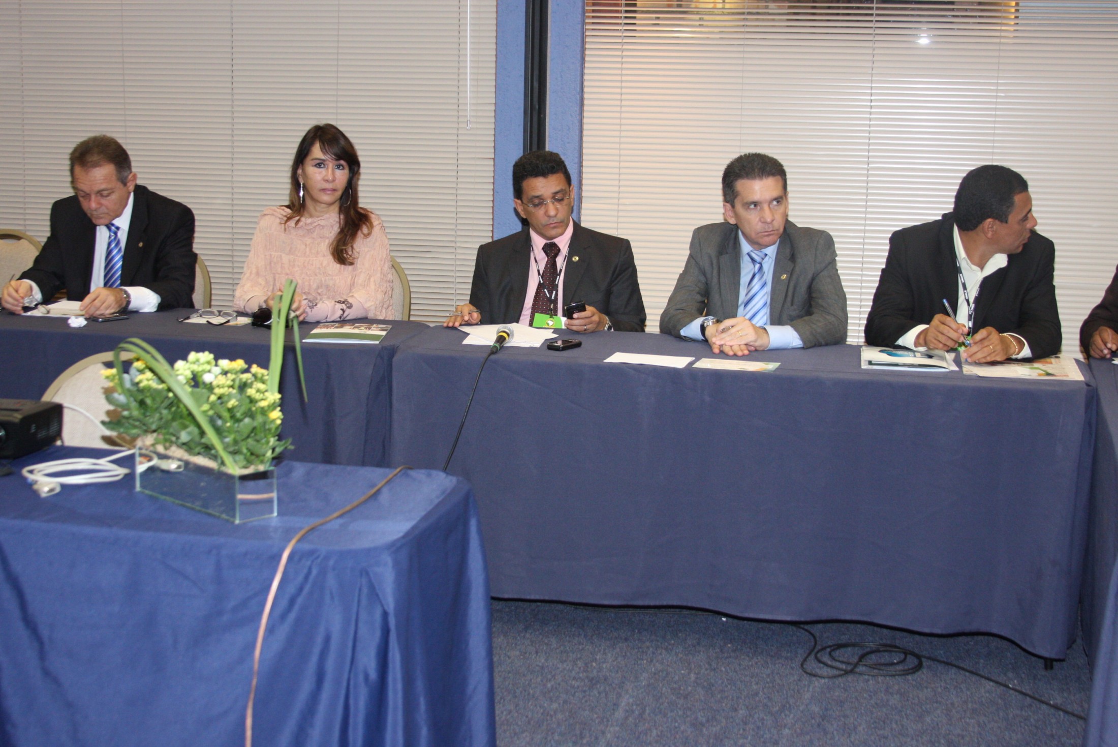 Reunião Simultânea - Parlamento Amazonico