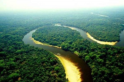 Deputados comentam Código Florestal Brasileiro