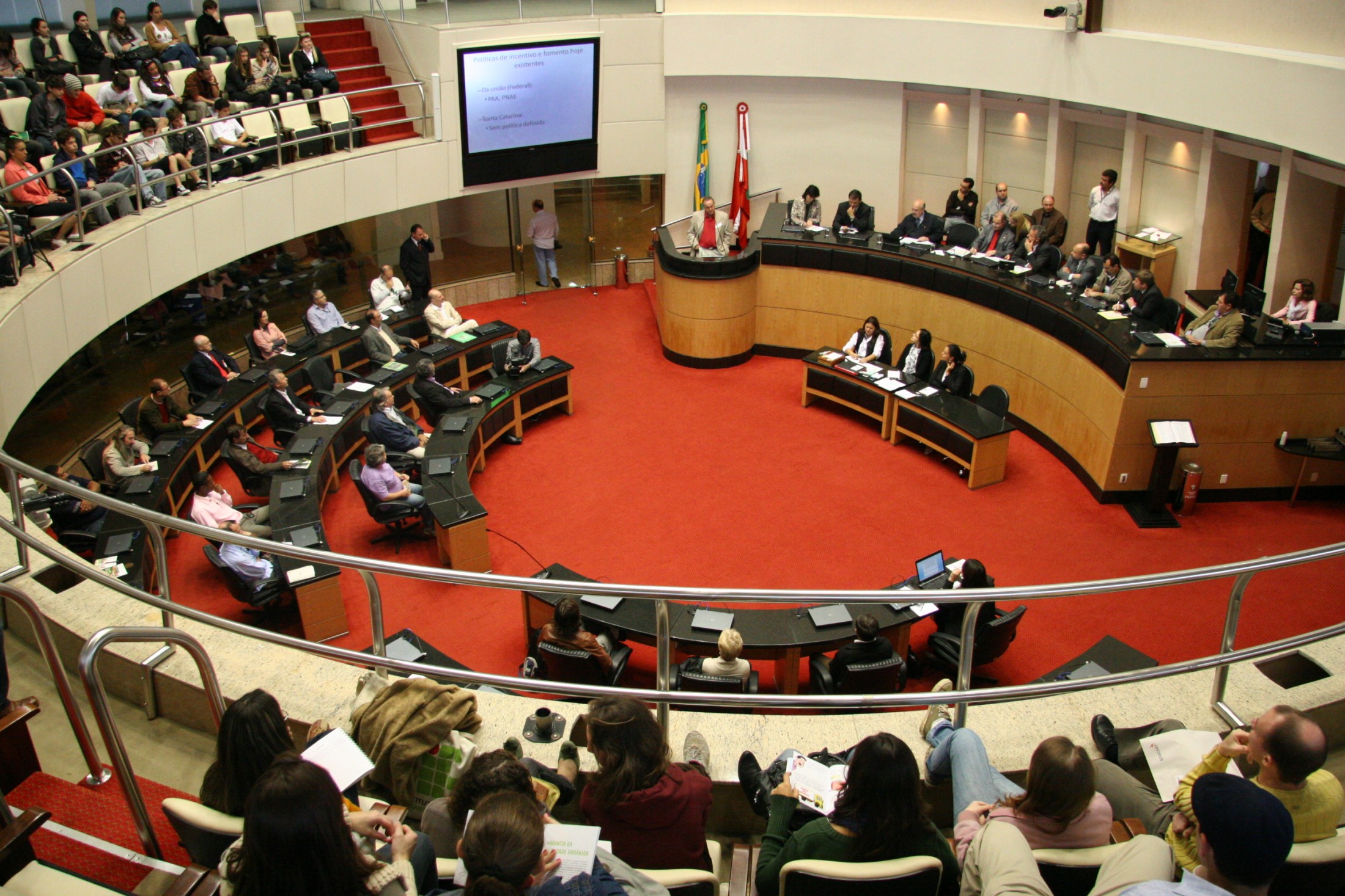 Audiência pública -  