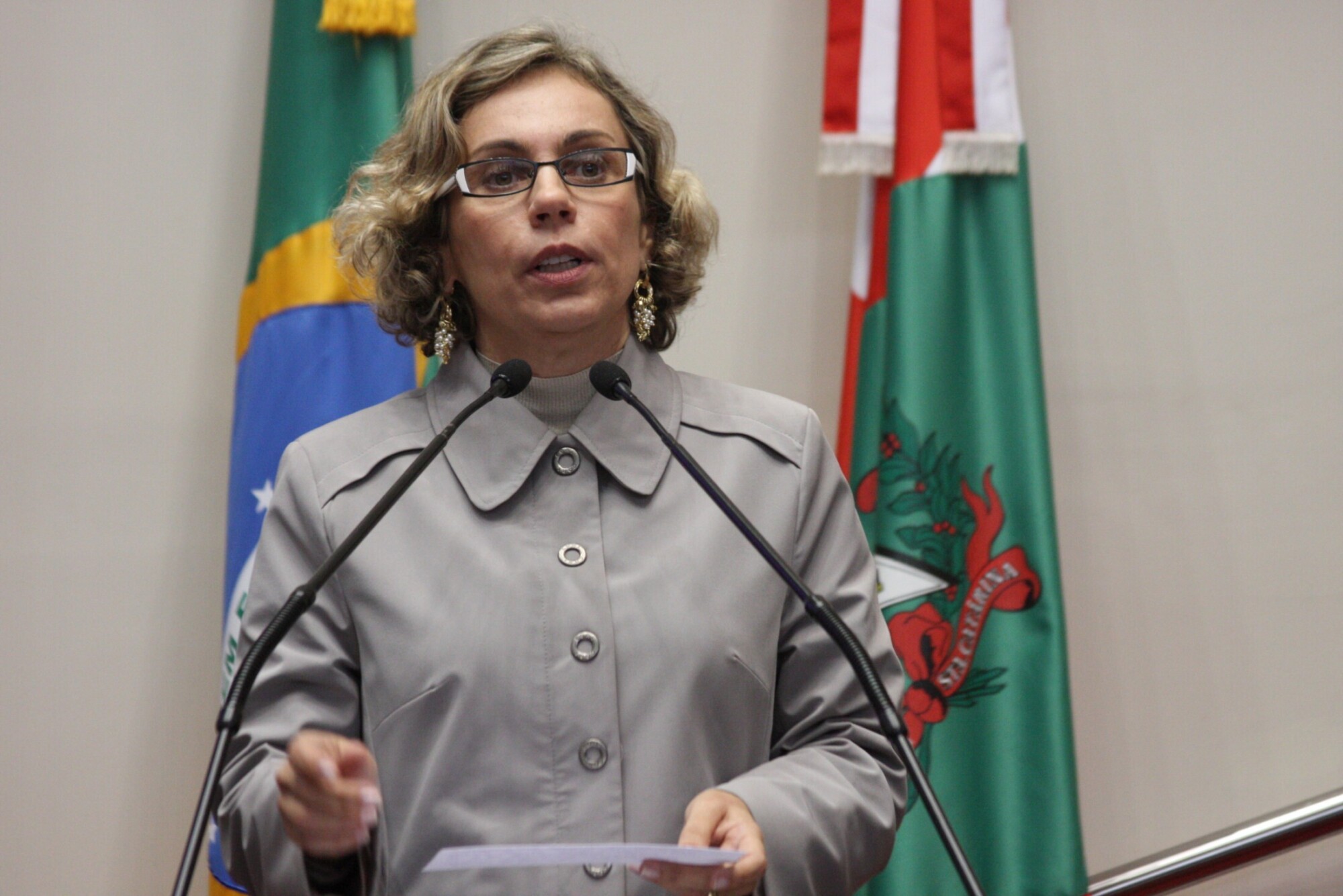 Dos Gabinetes – Audiência pública em Florianópolis debate os direitos da infância e adolescência