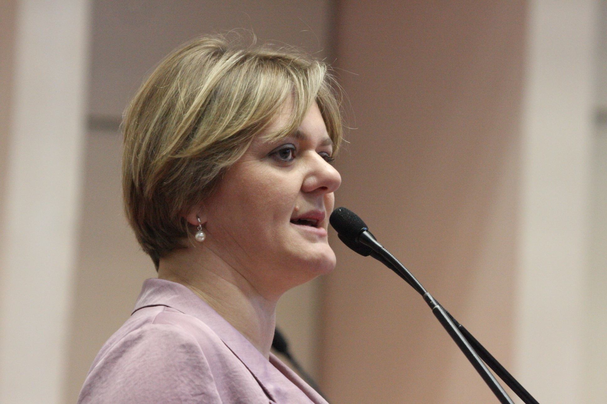Deputada Luciane Carminatti (PT) - Sessão Ordinária - Plenário Ósni Régis