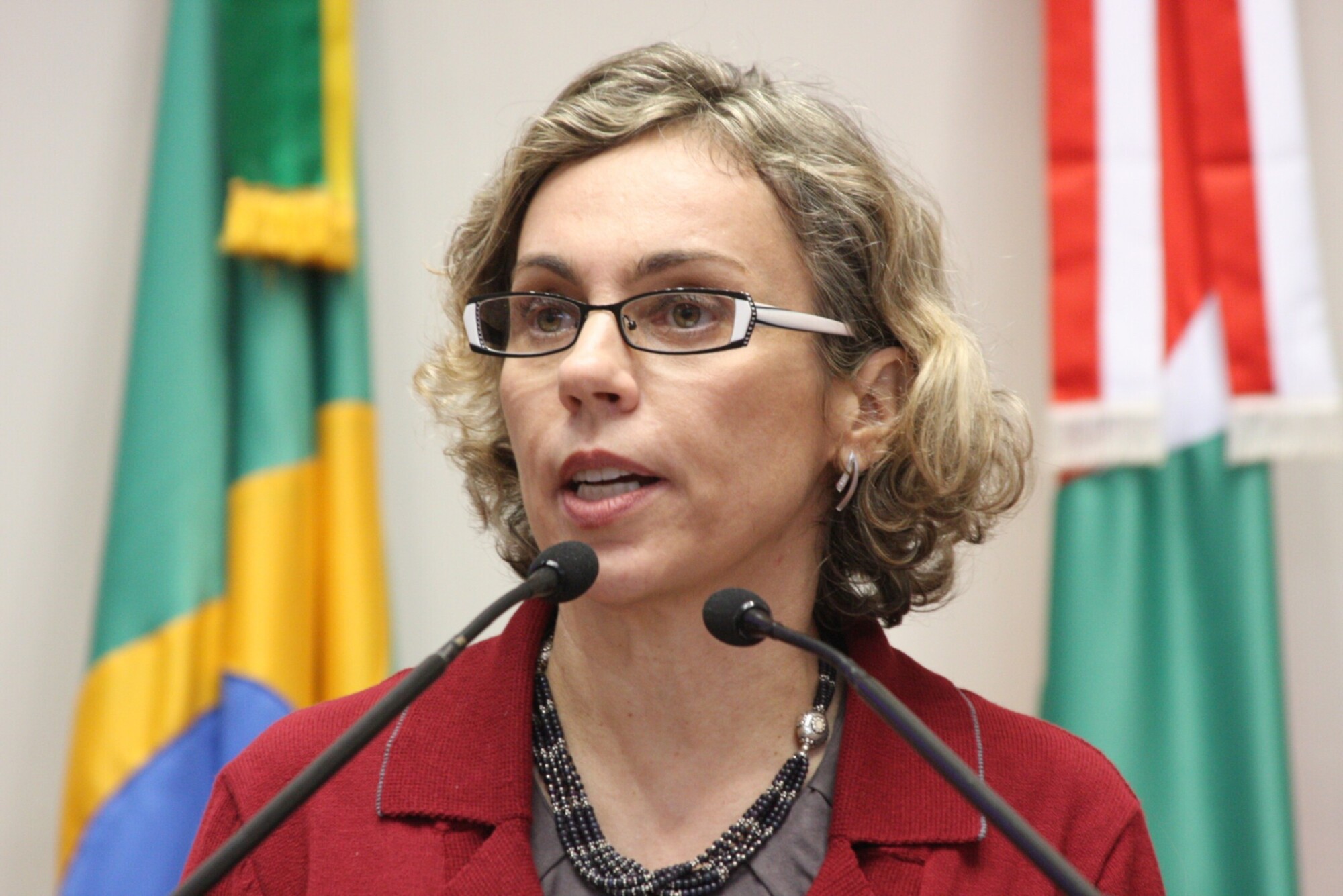 Dos Gabinetes – Greve dos Professores: Deputada Ana Paula volta a pedir ao governo que retire a MP d