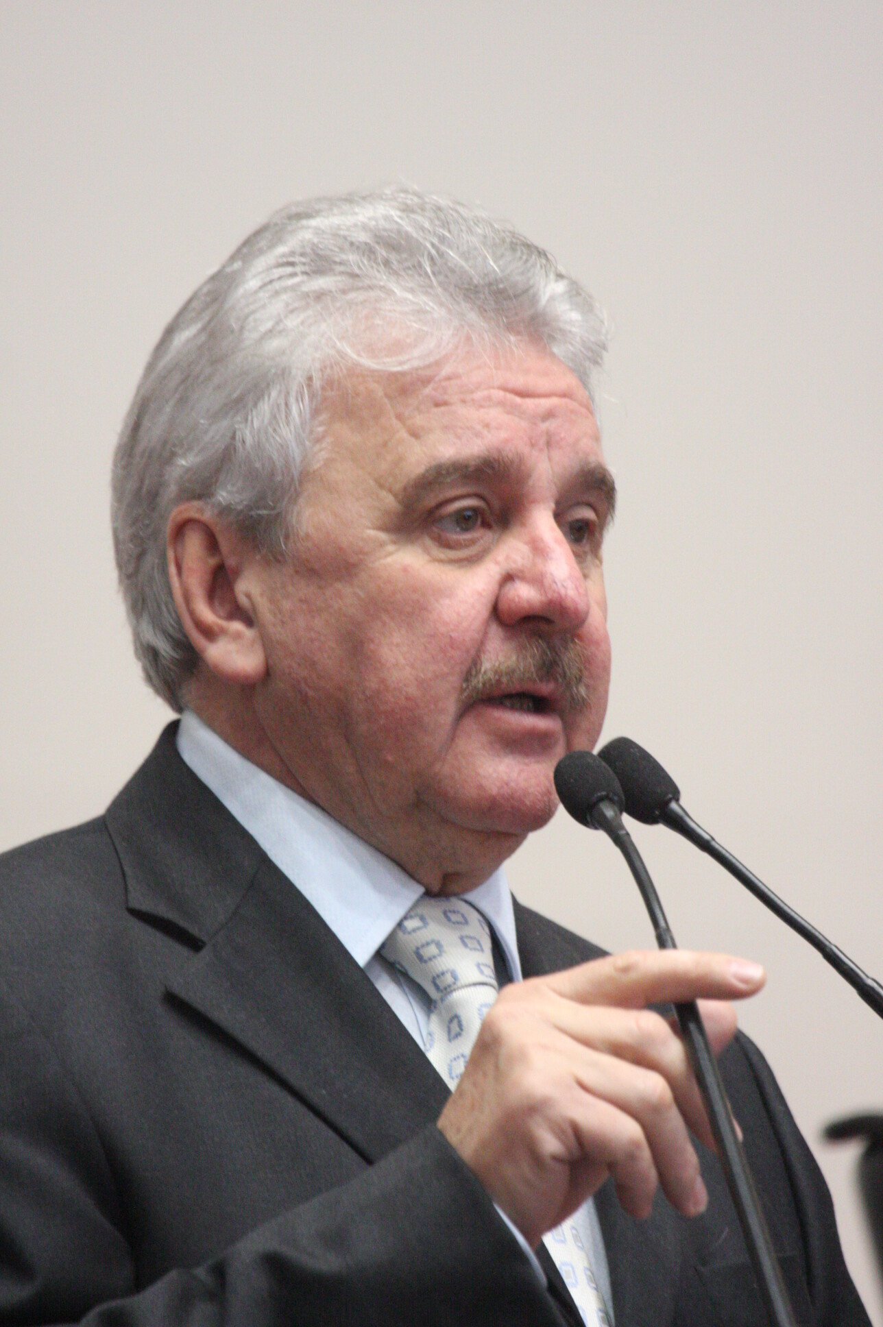 Dos Gabinetes- Sopelsa cobra participação federal para ajudar suinocultores