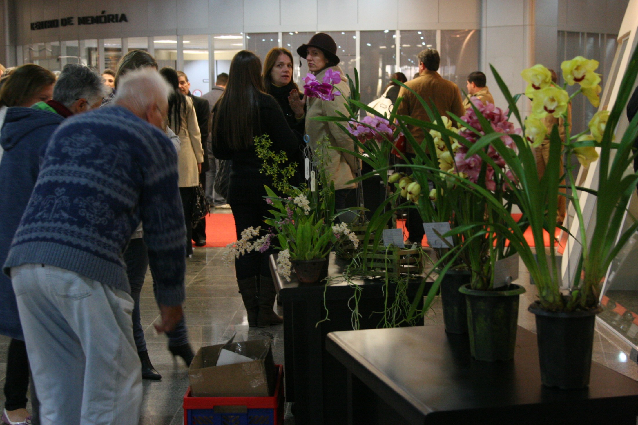 Solenidade marca o Dia Estadual do Orquidófilo