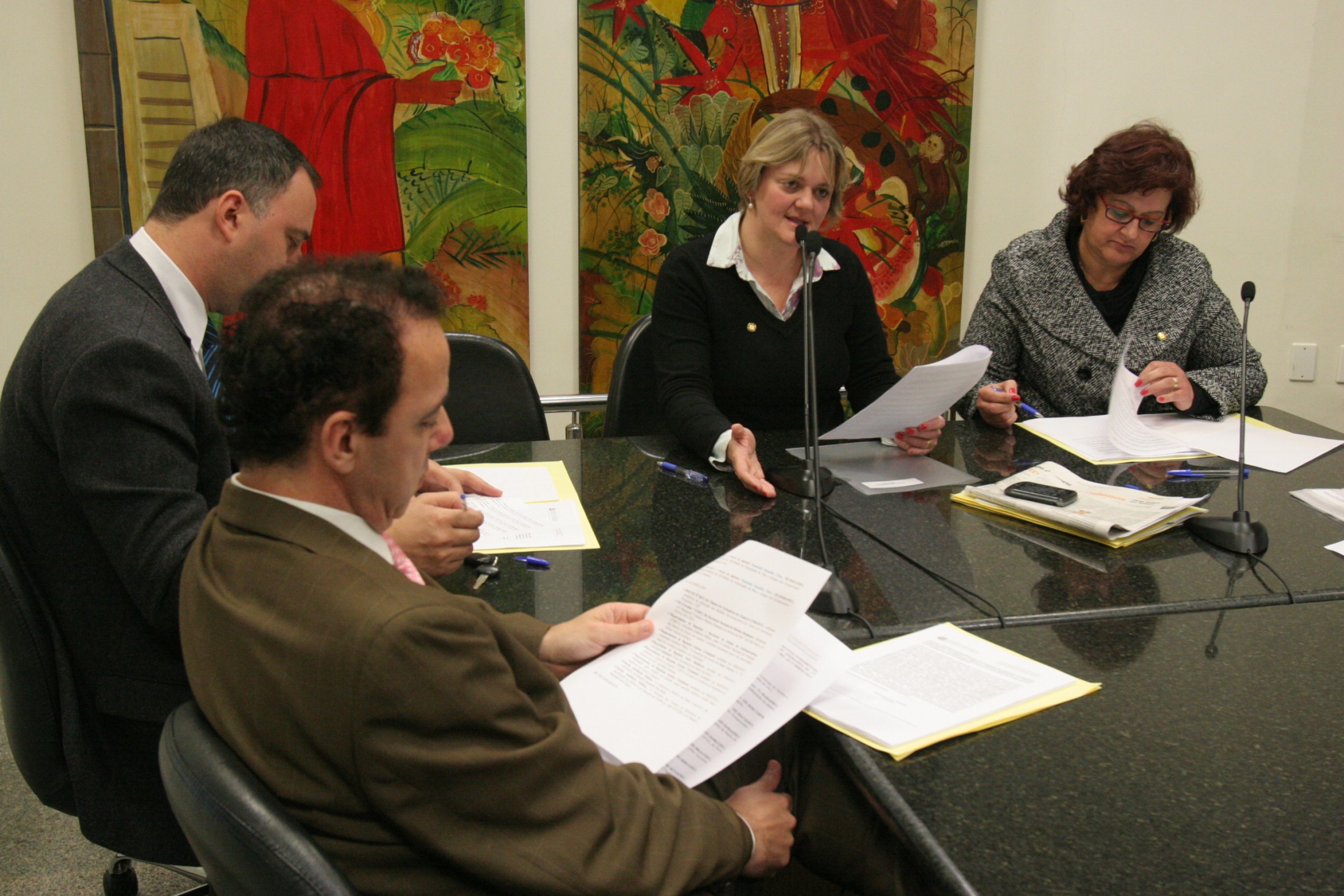 Reunião da Comissão de Direitos e Garantias Fundamentais
