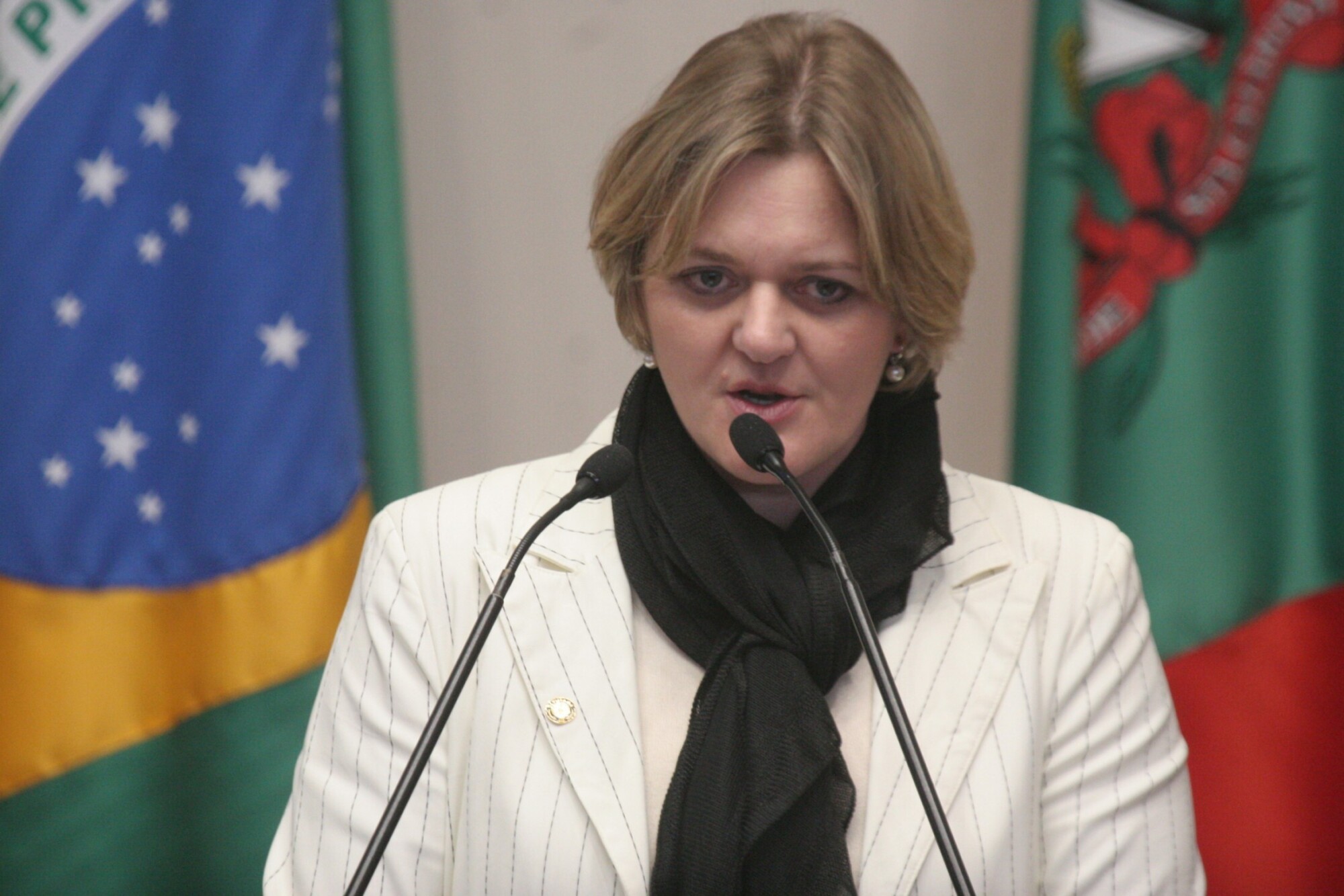 Dos Gabinetes – Audiência pública discute criação da Defensoria Pública em SC
