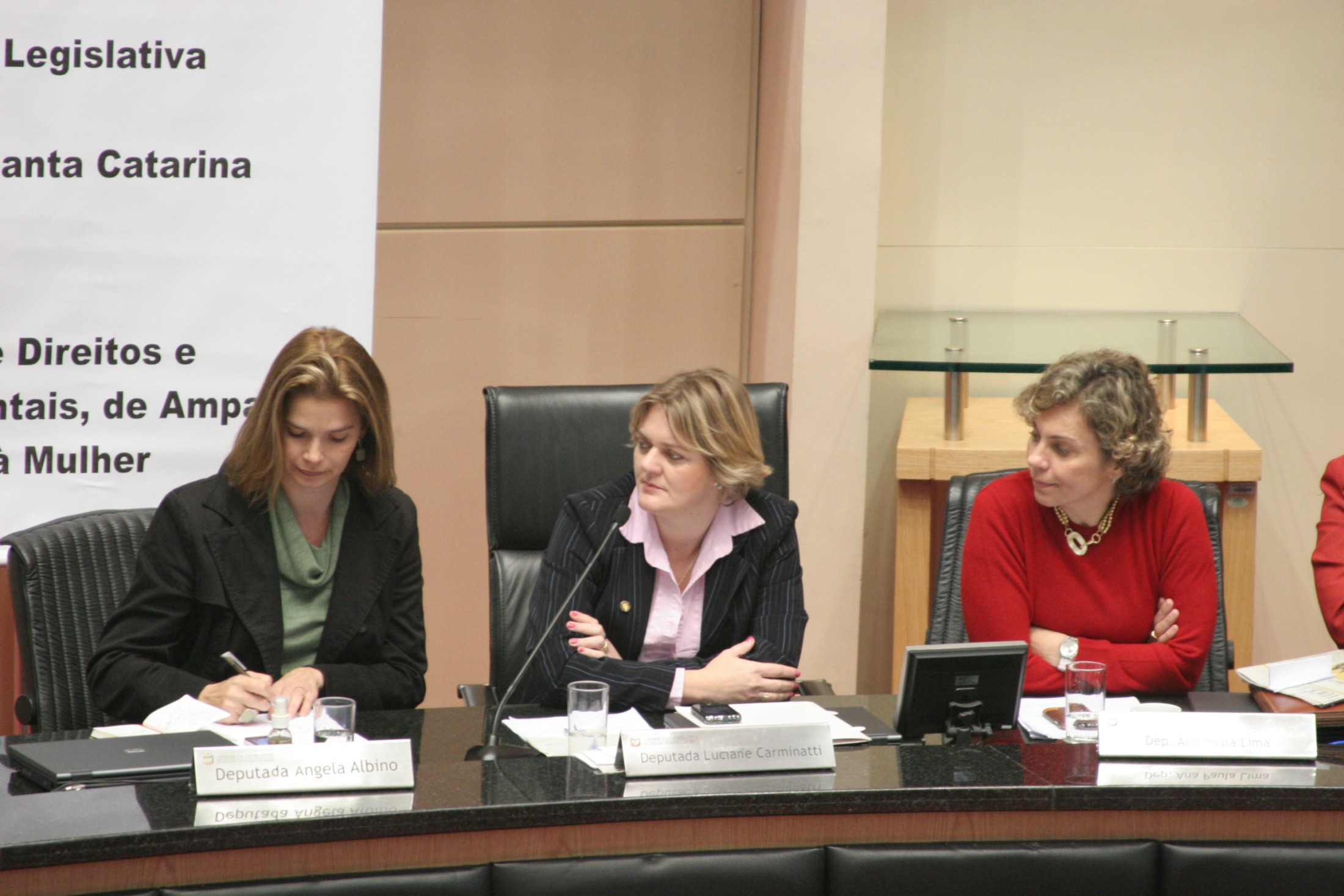 Deputada Luciane Carminatti (PT) - Comissão de Direitos e Garantias Fundamentais - Audiência pública 