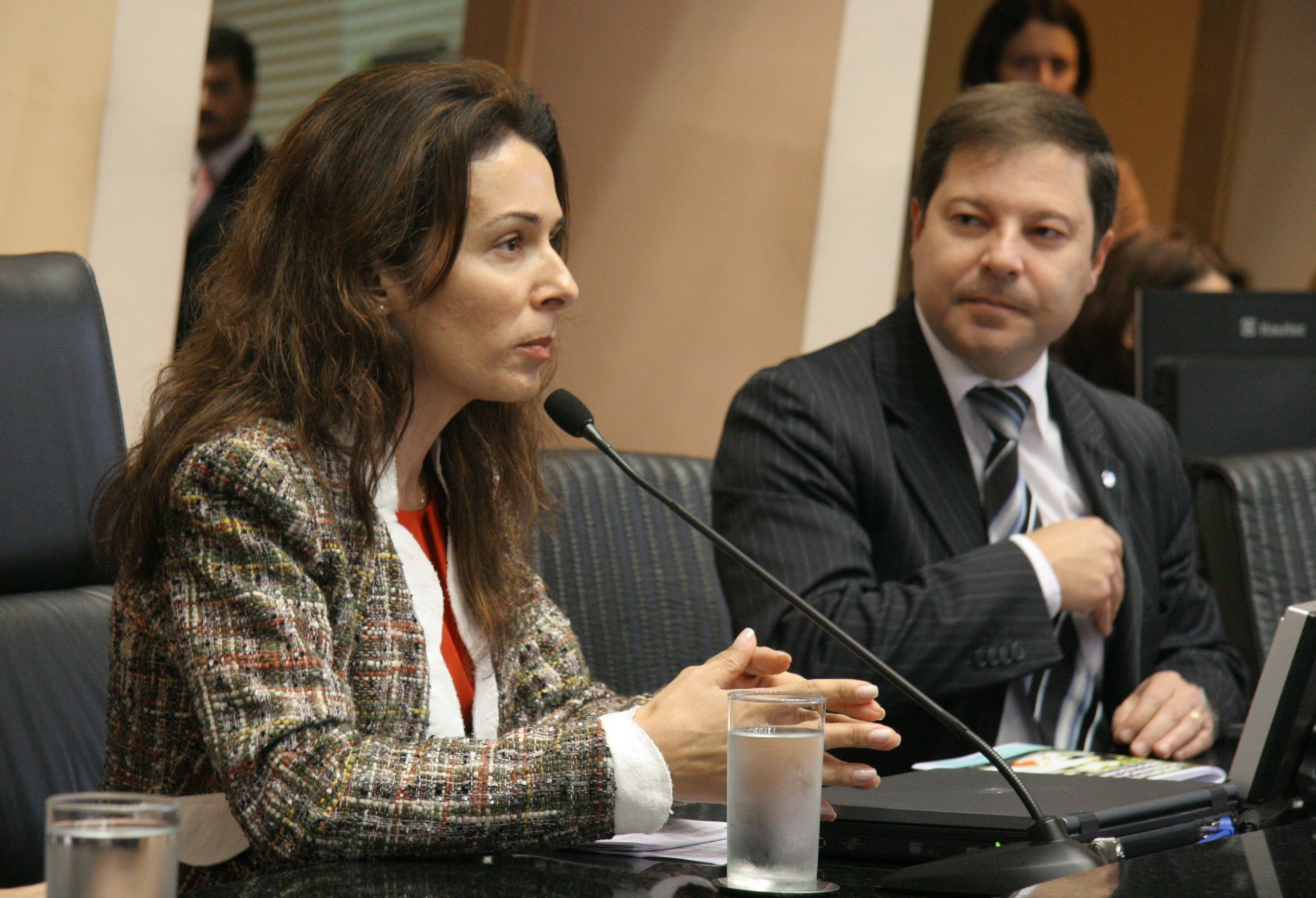 Seminário com Grupos de Apoio à Adoção
