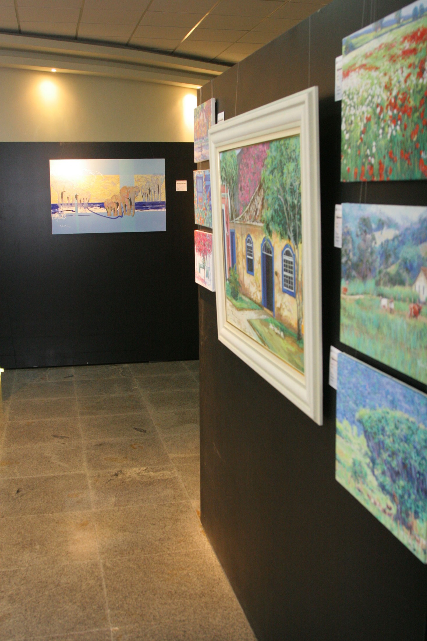 Assembleia Legislativa inaugura exposição de Luiz Carlos Albertini