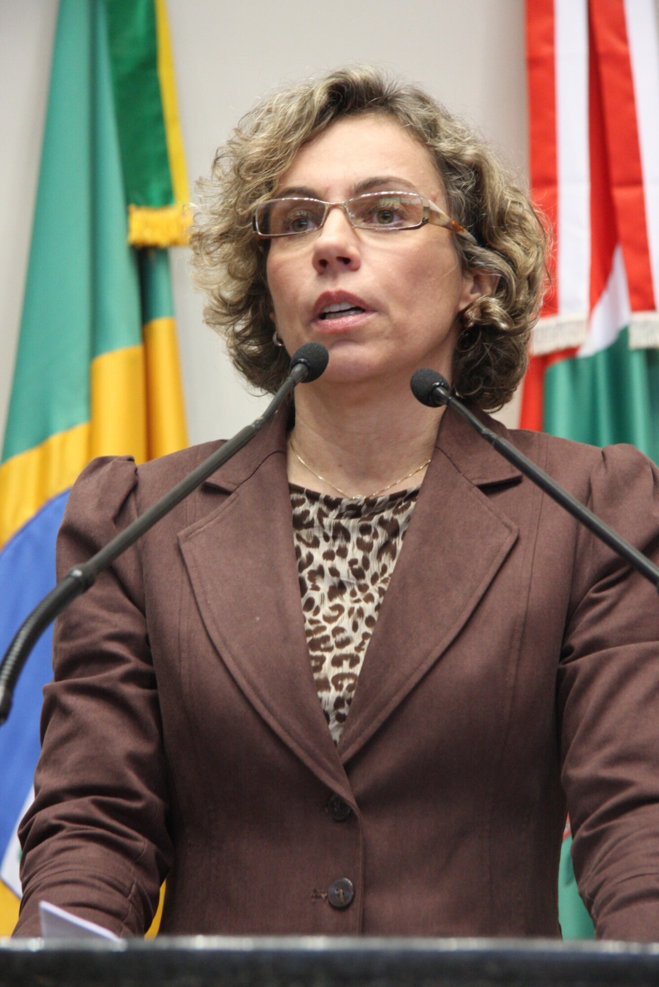 Dos Gabinetes – Deputada Ana Paula cobra responsabilidades do estado em relação à segurança pública