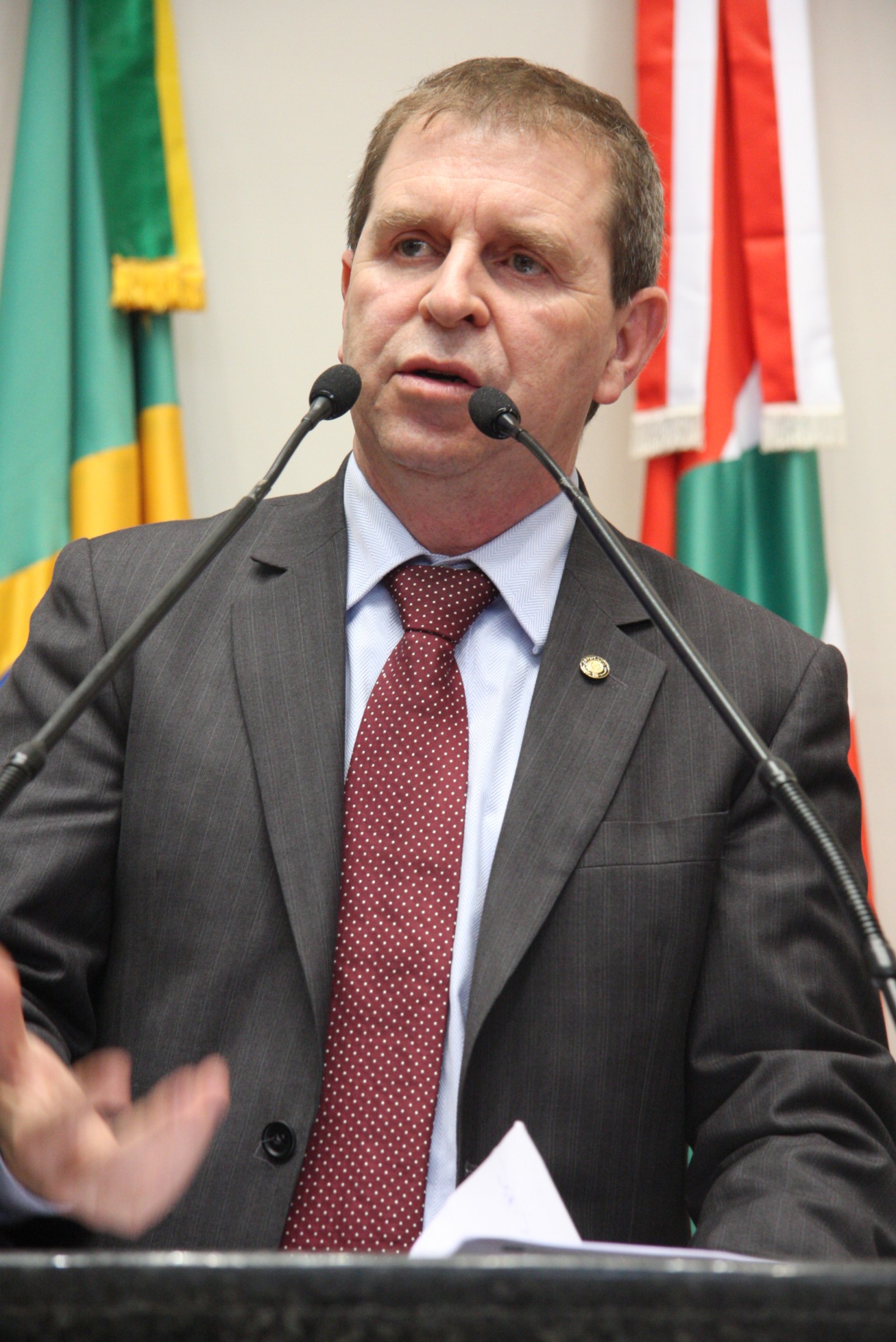 Sessão Ordinária - Plenário Osni Régis - Deputado Maurício Eskudlark (PSDB)