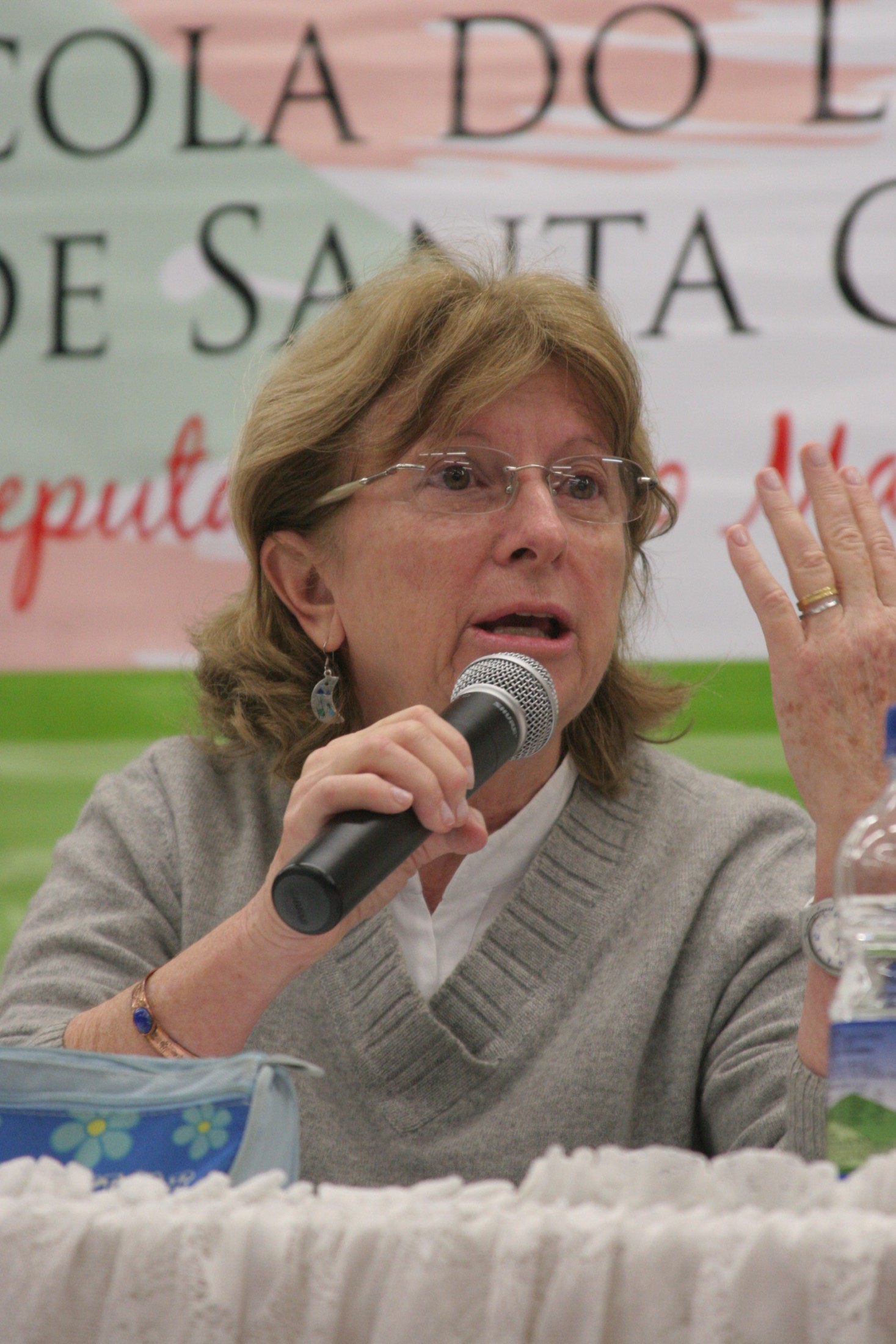 Seminário - Plano Nacional de Educação: Pensando um novo PNE - Joaçaba SC - Palestrante Leda Scheibe