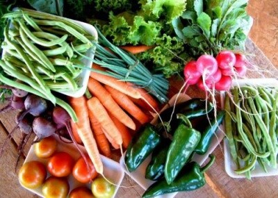 Parlamento homenageia prefeitos que compram merenda da agricultura familiar