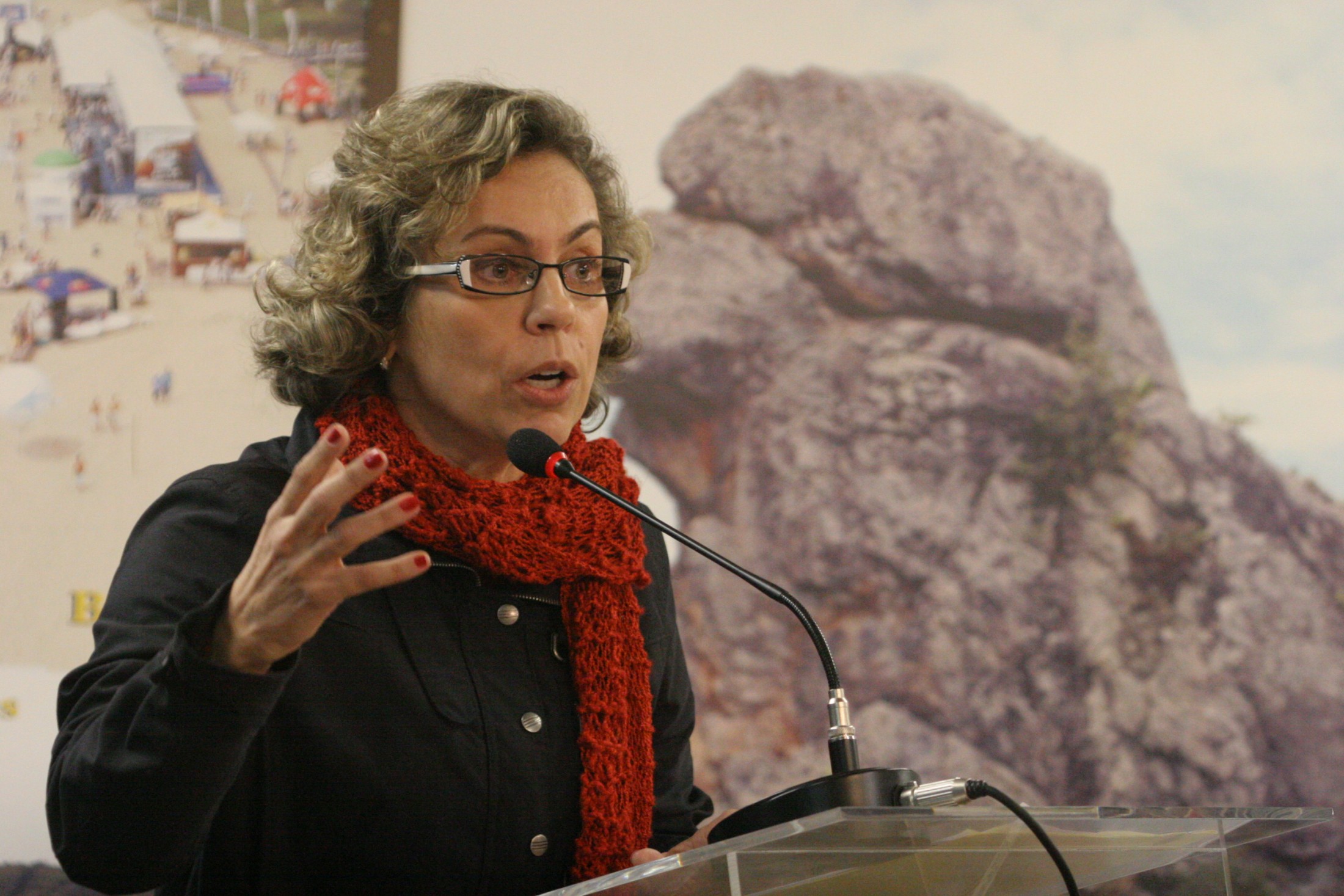 Deputada Ana Paula Lima (PT)