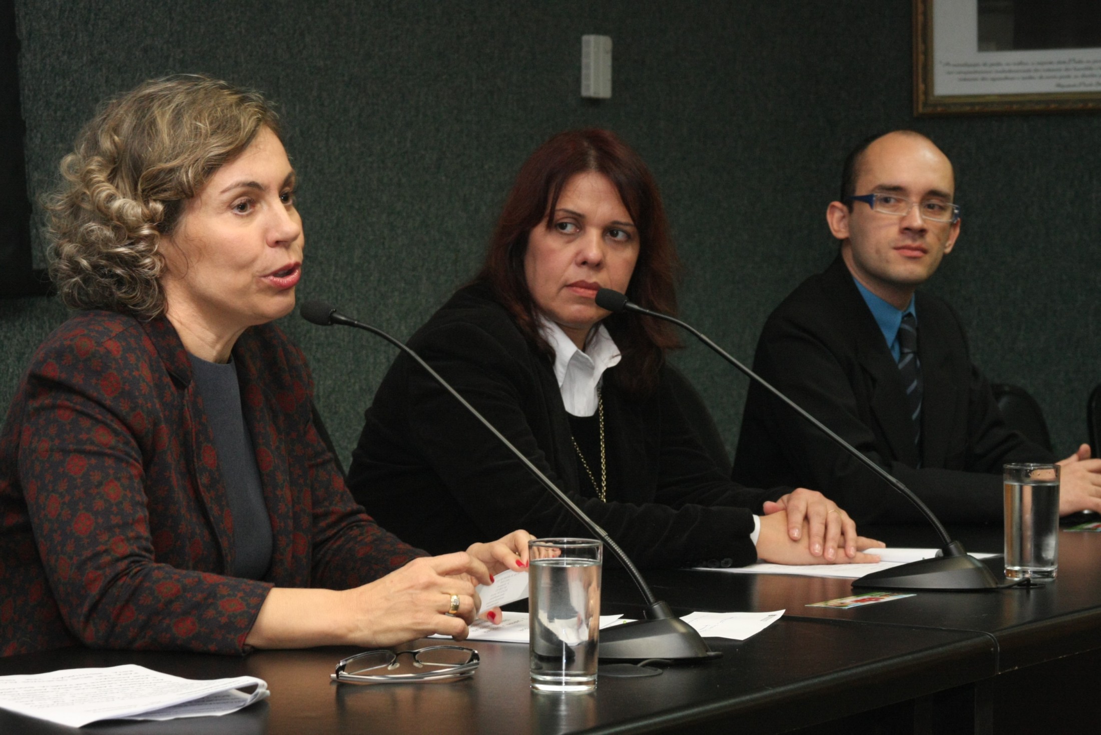 Lançamento do Site da Campanha de Adoção - GEAF
