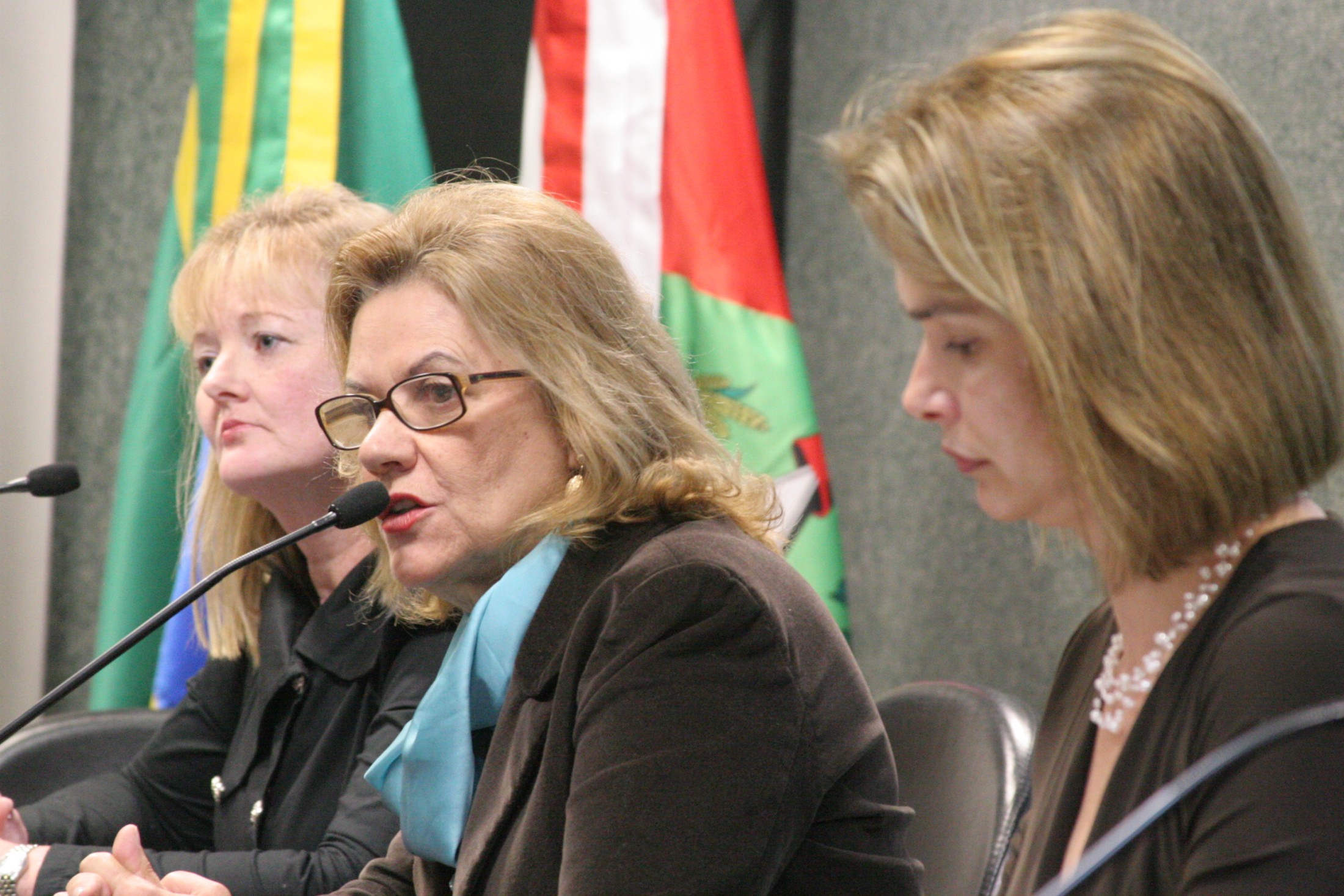 Homenagem: Secretaria de Mulheres da FETIESC