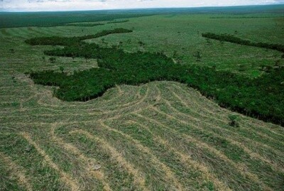 Audiência em Chapecó debate legislação ambiental brasileira