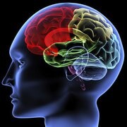Epilepsia: Doença ou Disturbio?