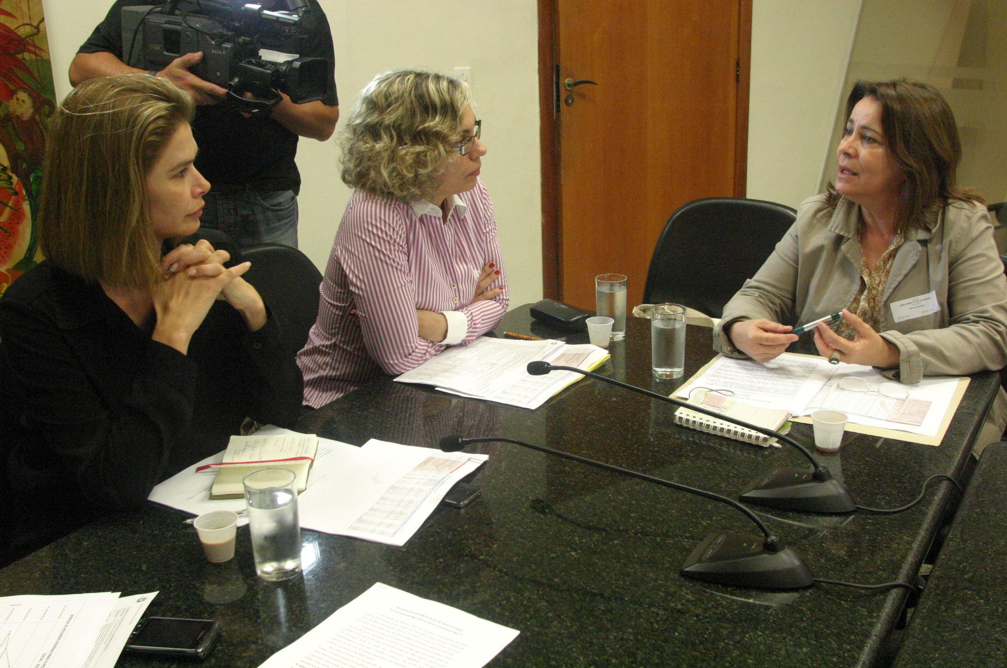 Reunião da Bancada Feminina