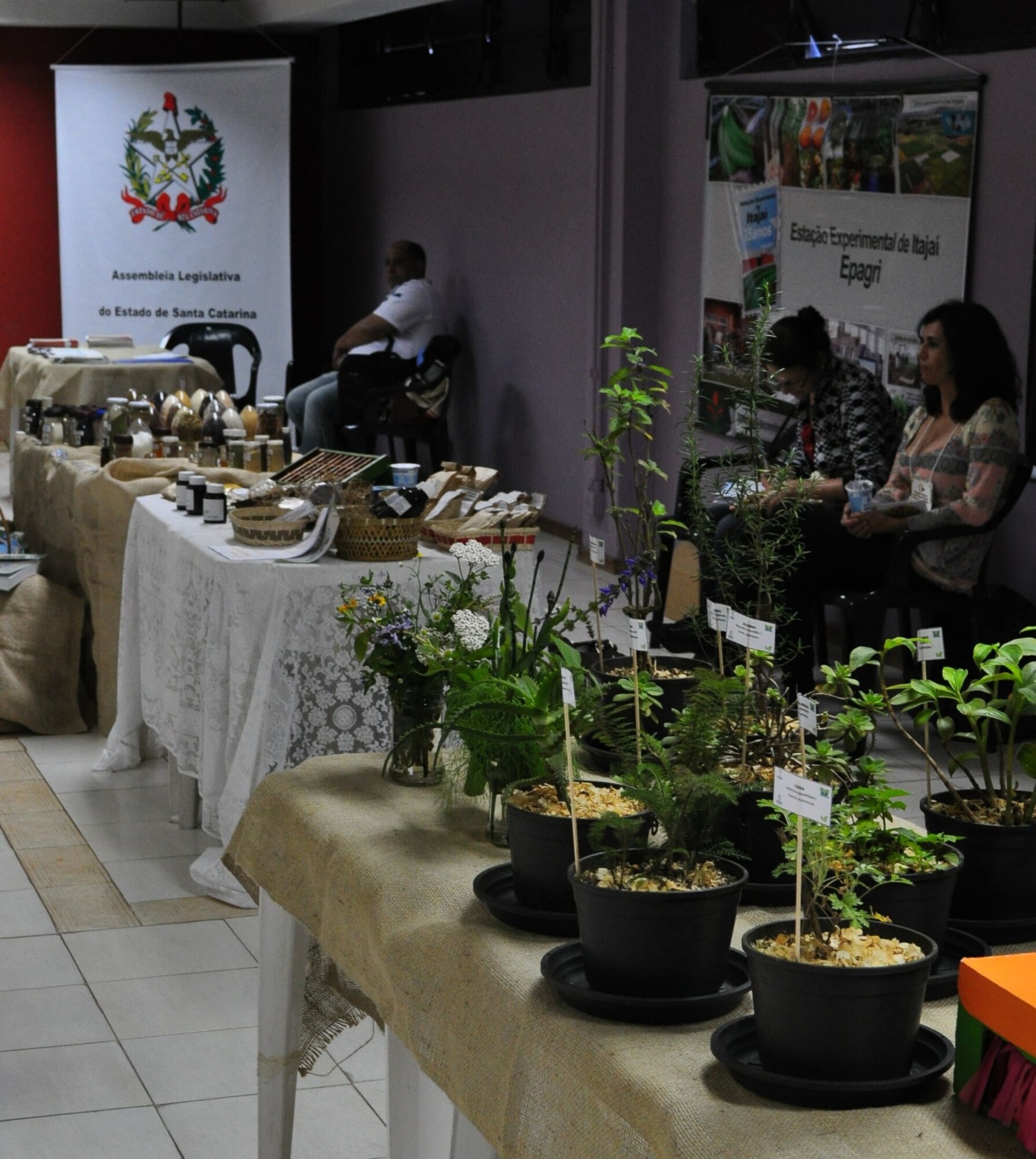 Volnei Morastoni representa a Assembléia Legislativa no 1º Encontro Municipal sobre Plantas Medicinais e Fitoterápicos de Joinville