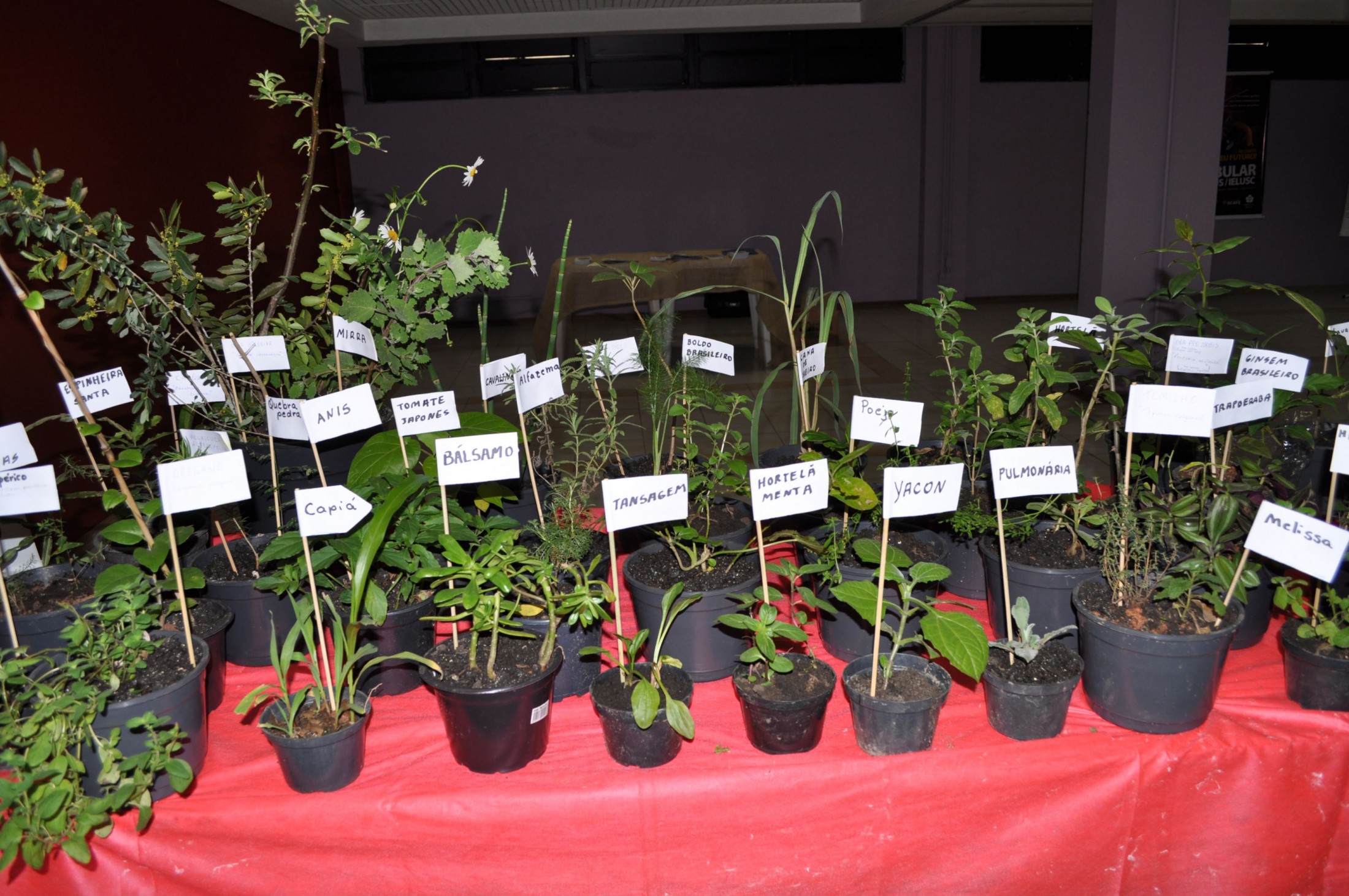 Volnei Morastoni representa a Assembléia Legislativa no 1º Encontro Municipal sobre Plantas Medicinais e Fitoterápicos de Joinville