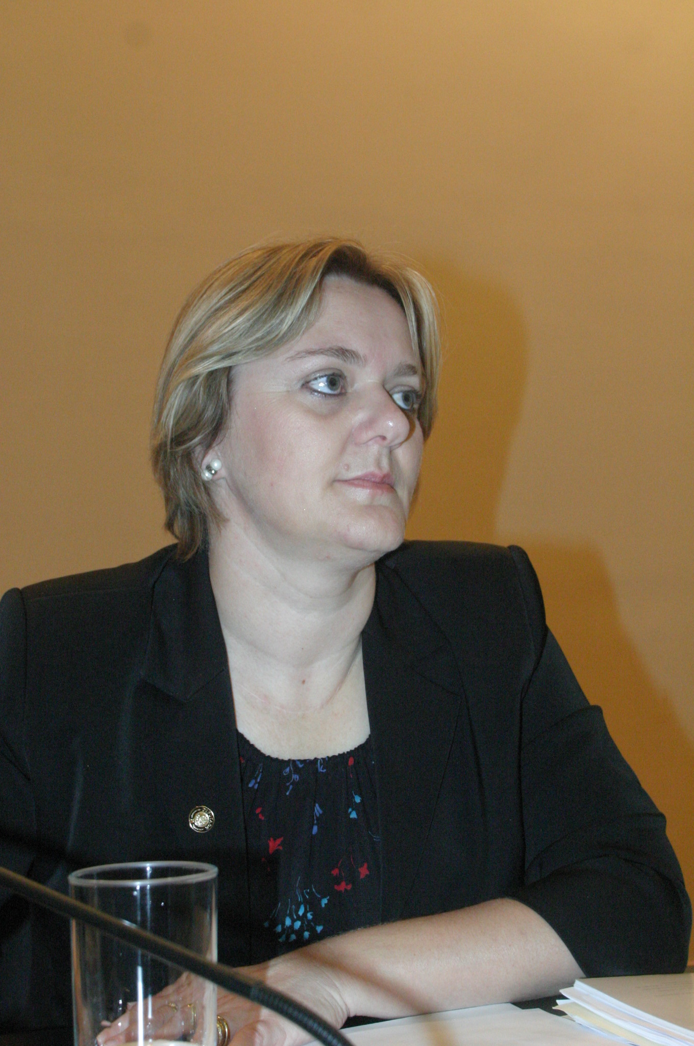 Deputada Luciane Carminatti (PT) - Comissão de Educação - Audiência pública 