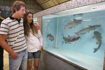Pesca e Piscicultura ganham espaço de destaque na EFAPI 2011