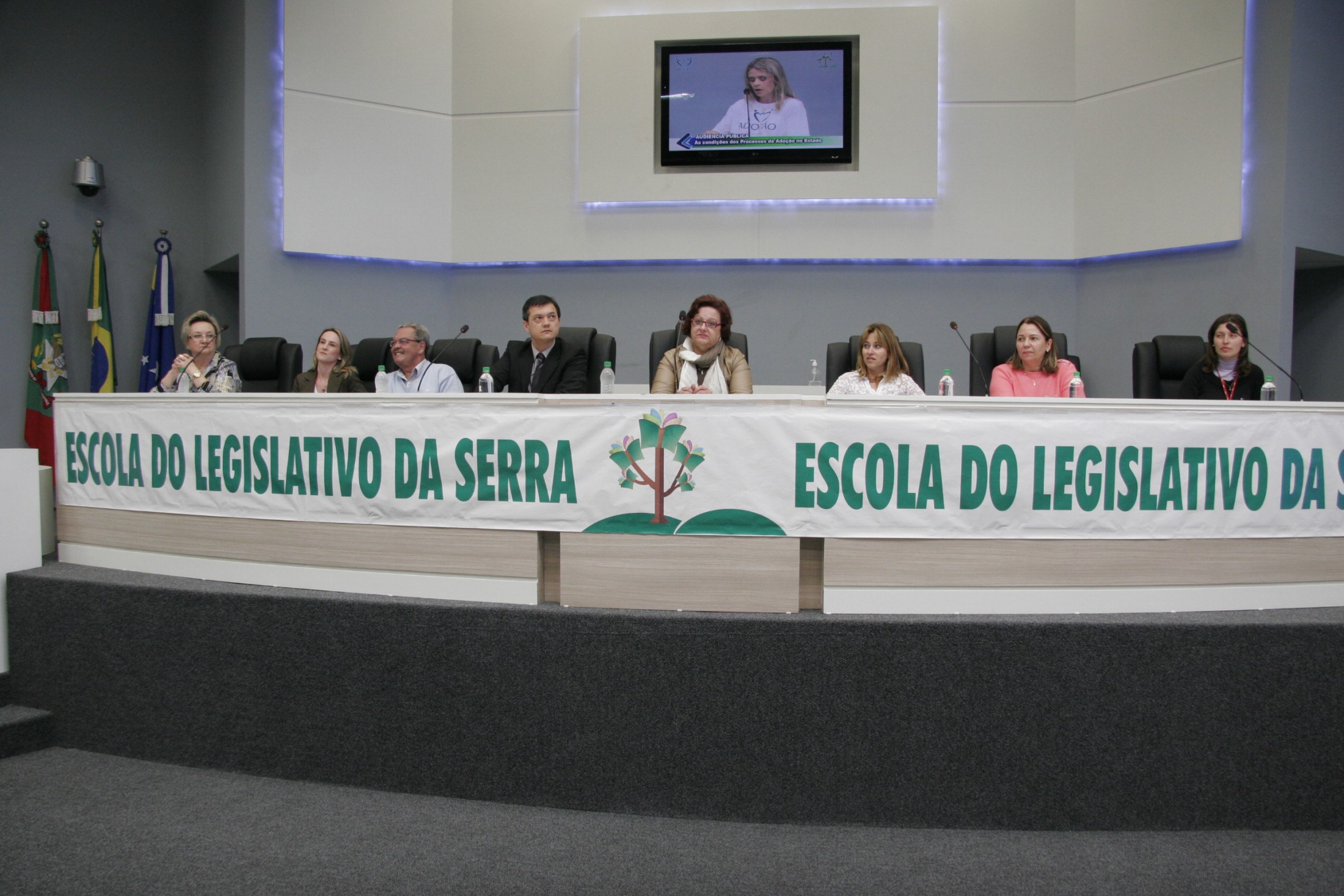 Processos de Adoção no Estado de Santa Catarina