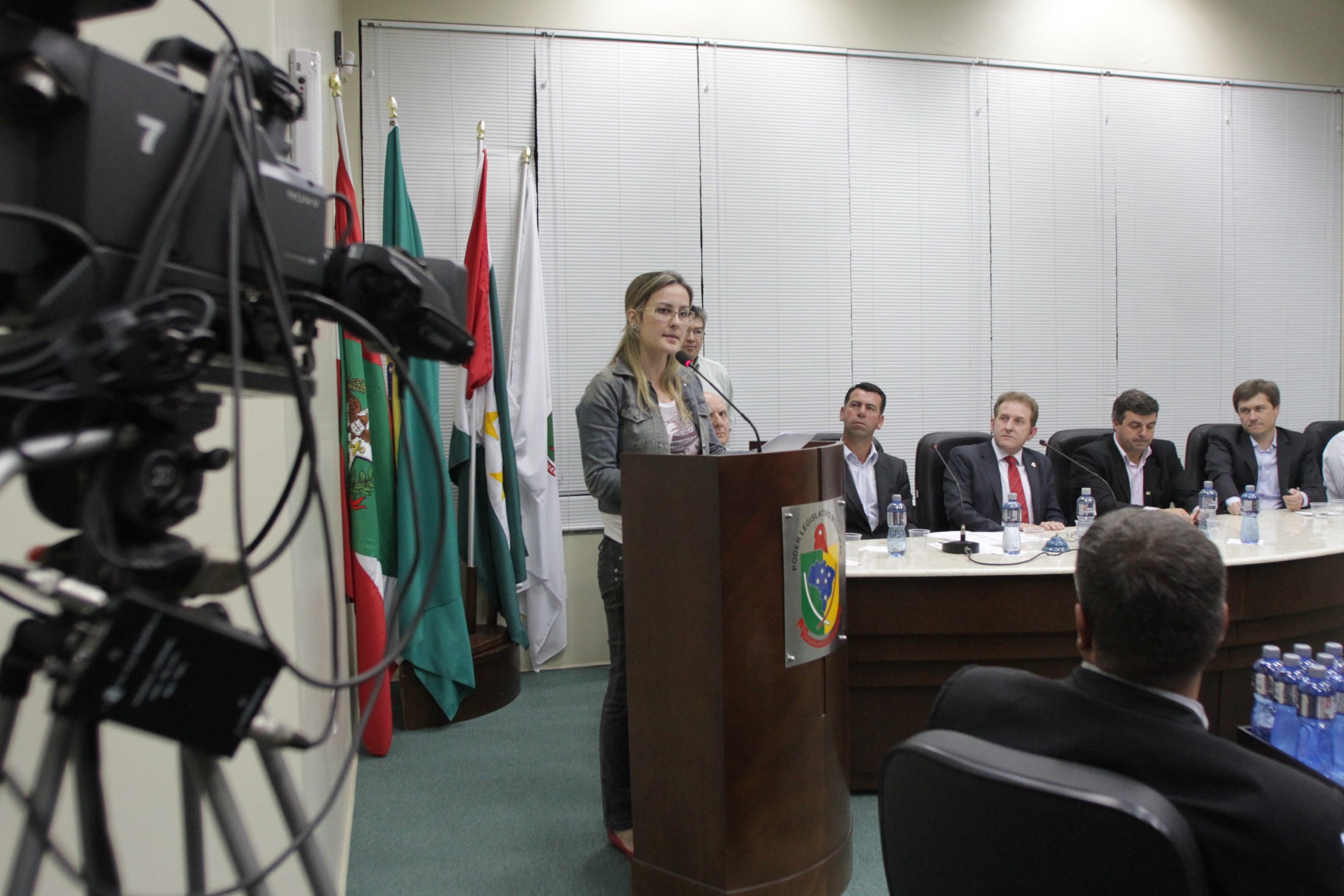 Audiência Pública - Rodovia Jacob Westrup