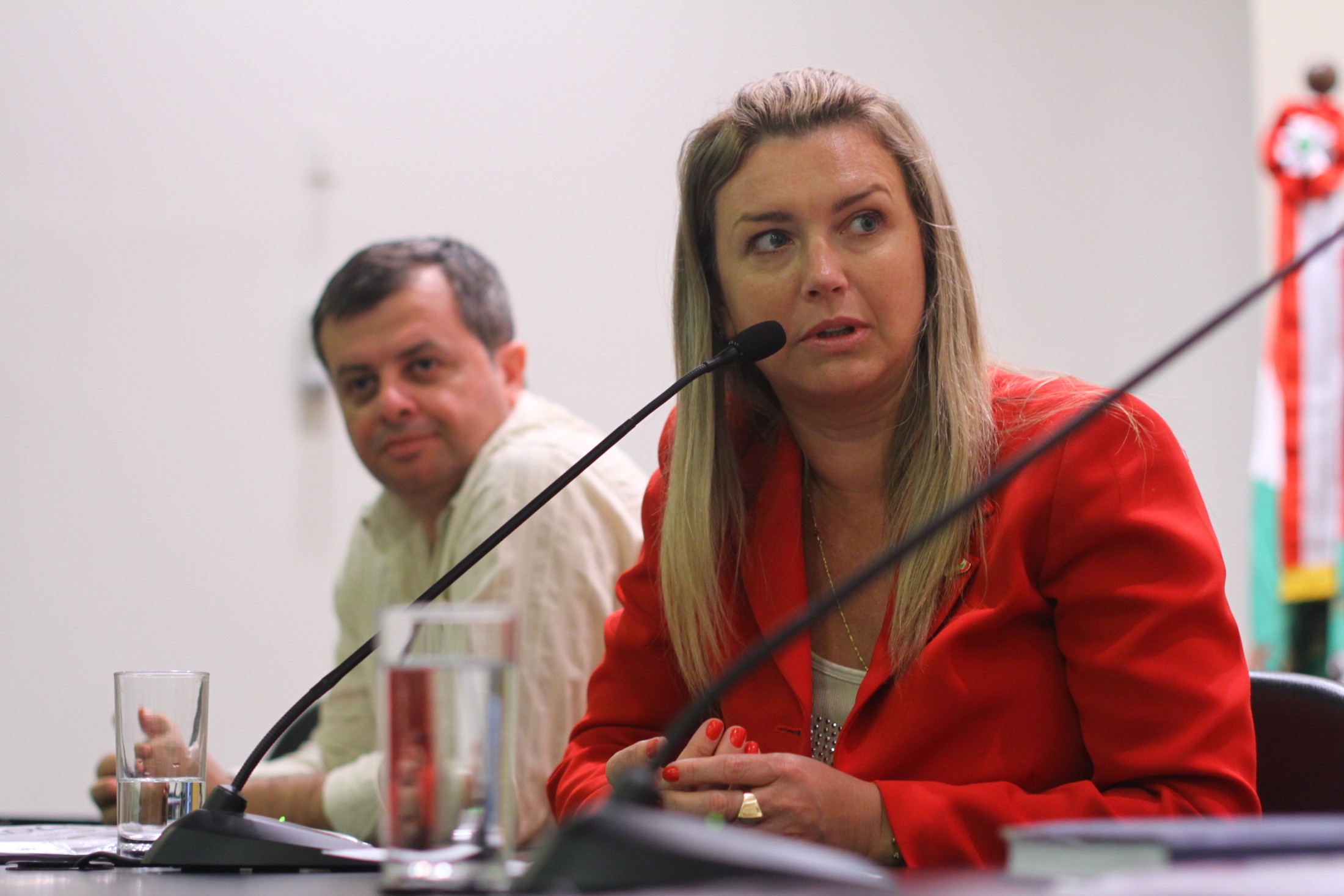 Audiência Pública - 