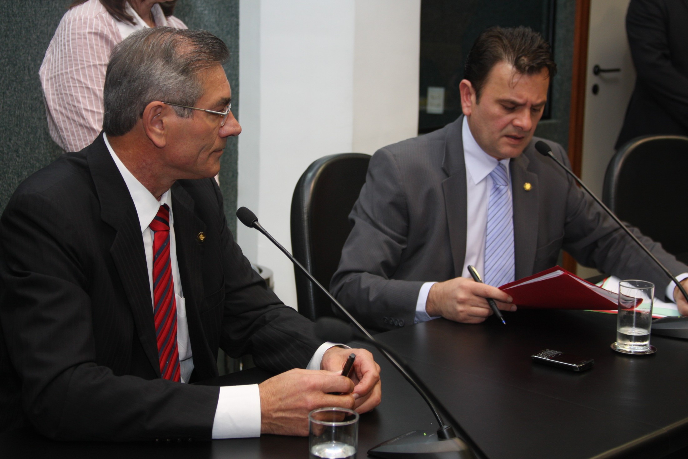 Comissão de Trabalho aprova Espinheira Santa como símbolo de Santa Catarina