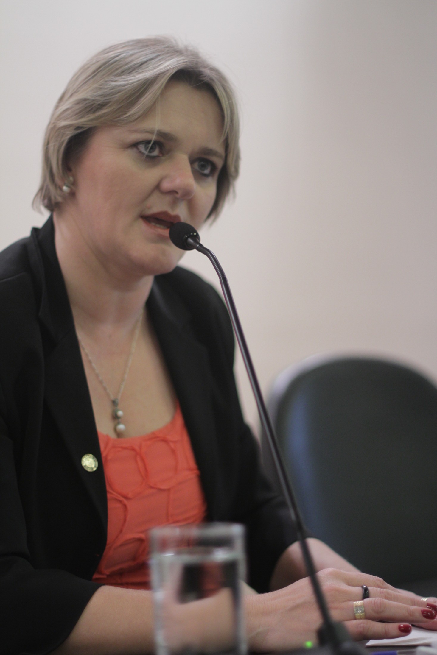 Audiência pública 