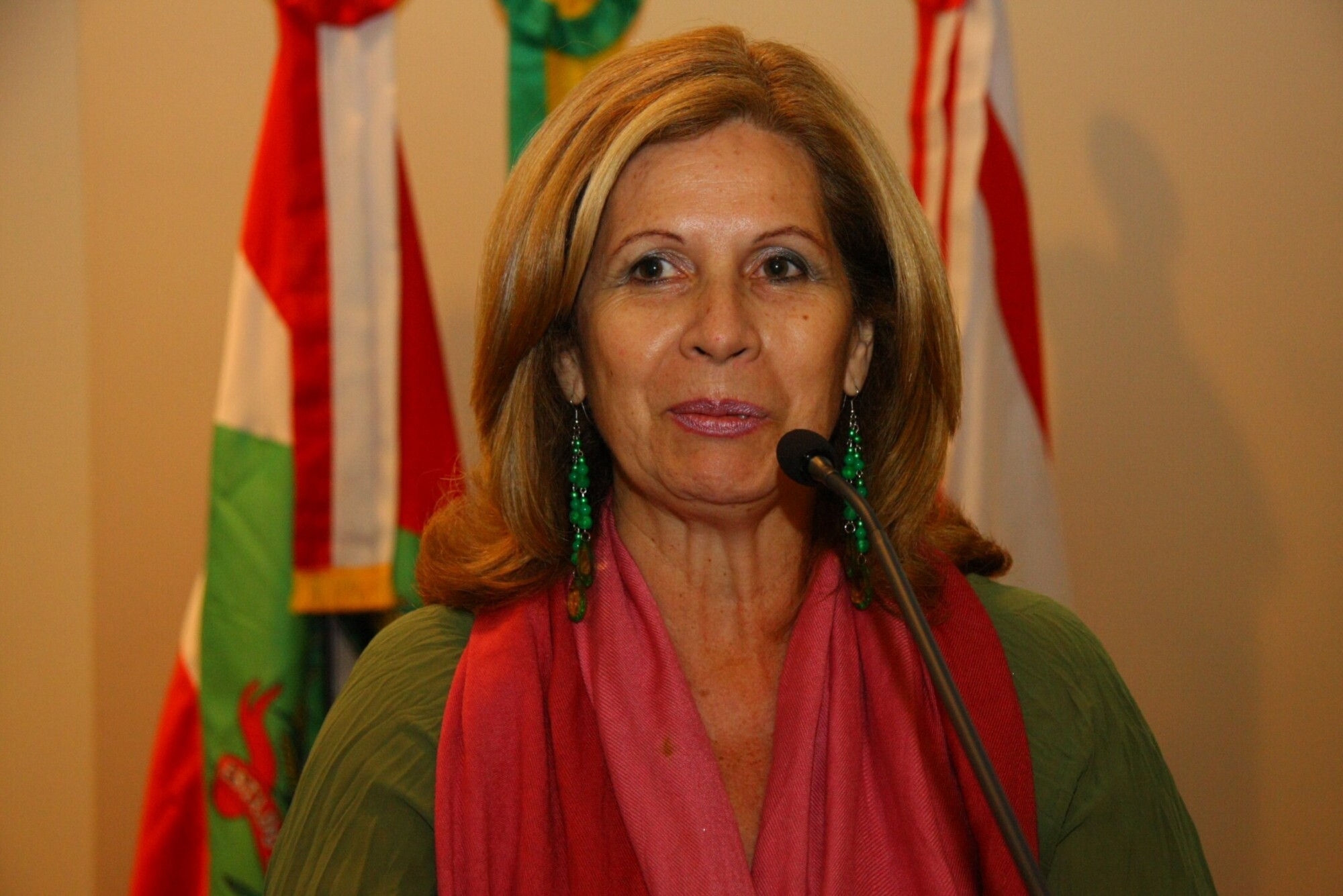 1º Congresso Internacional sobre O futuro da água no Mercosul (Ana Castilho Crerici)