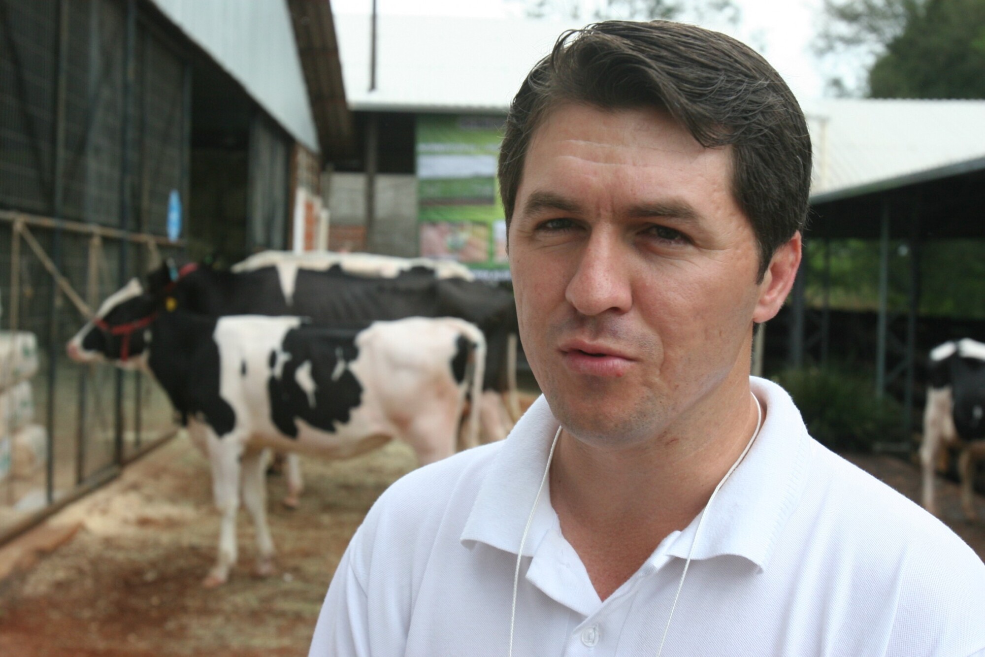Exposição agropecuária destaca produção de leite em Pinhalzinho
