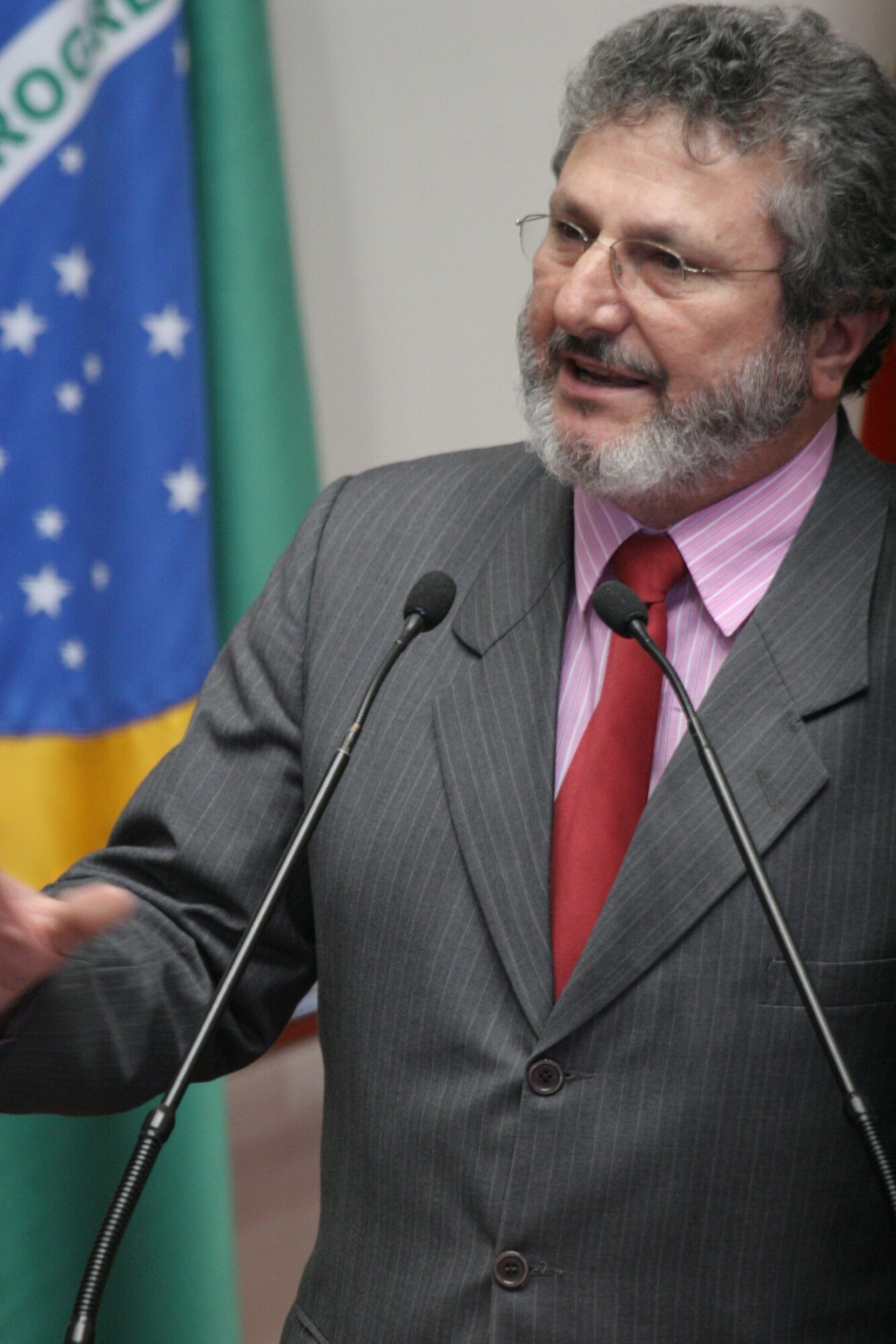 Espinheira Santa é a planta medicinal símbolo de Santa Catarina