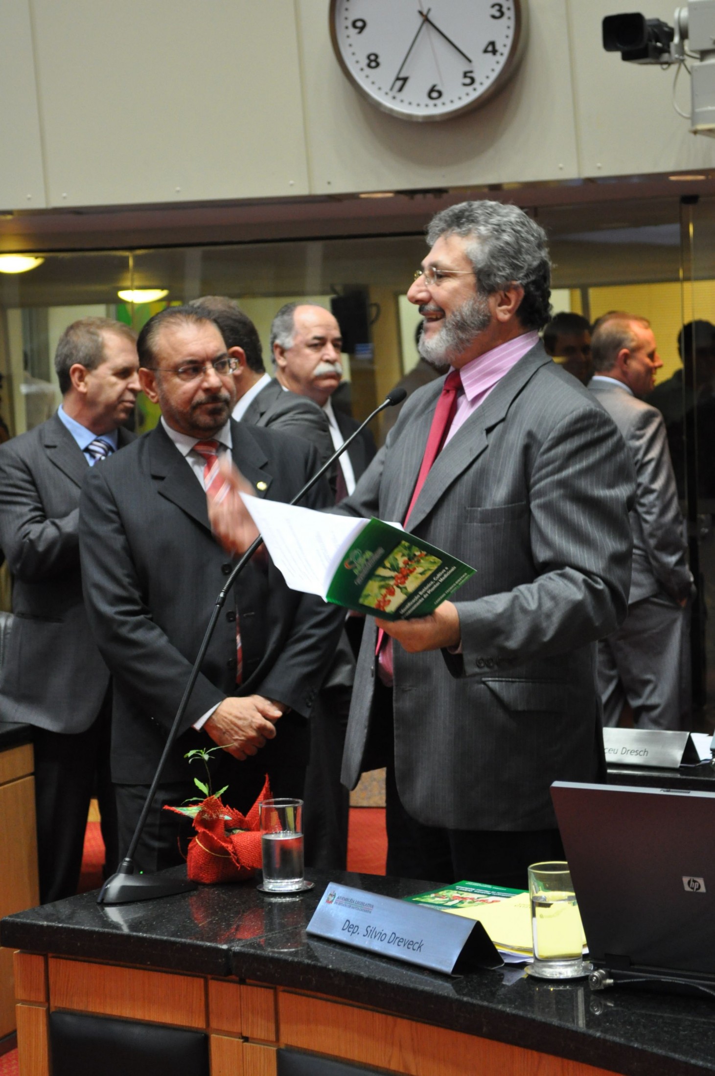 Espinheira Santa é aprovada na Alesc como planta símbolo de Santa Catarina