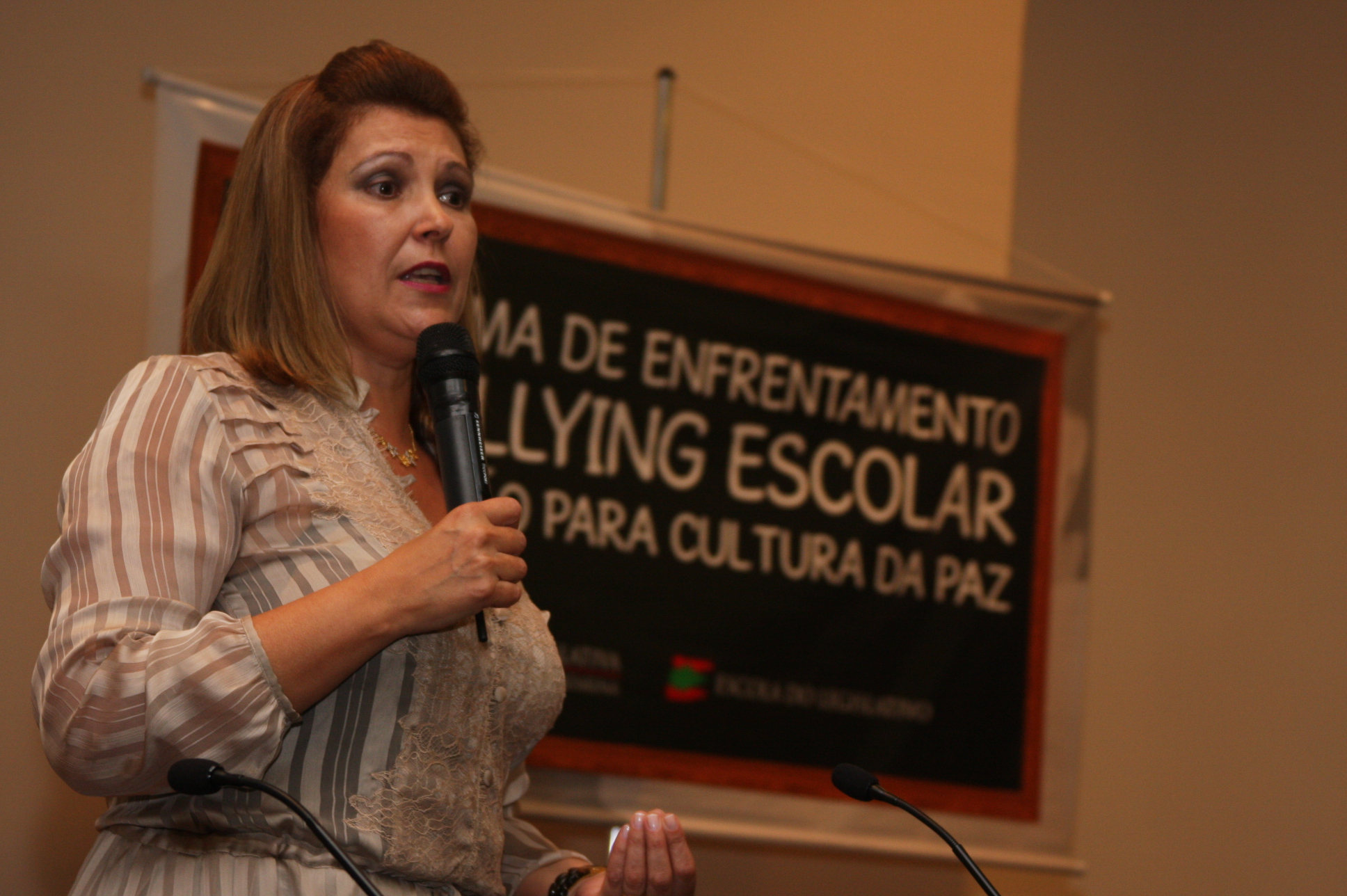 Seminário Estadual: Bullying