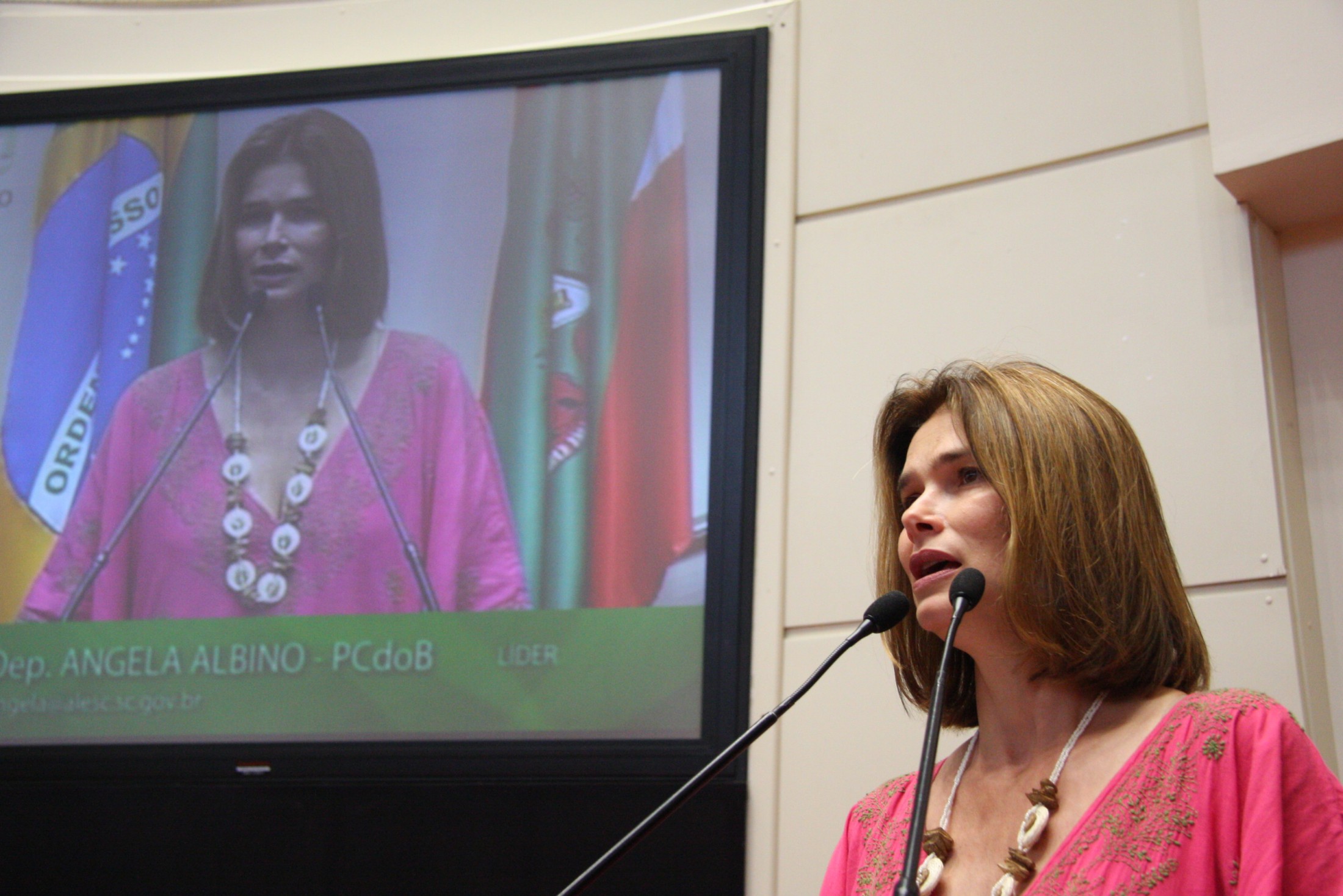 Deputada Angela Albino (PCdoB)