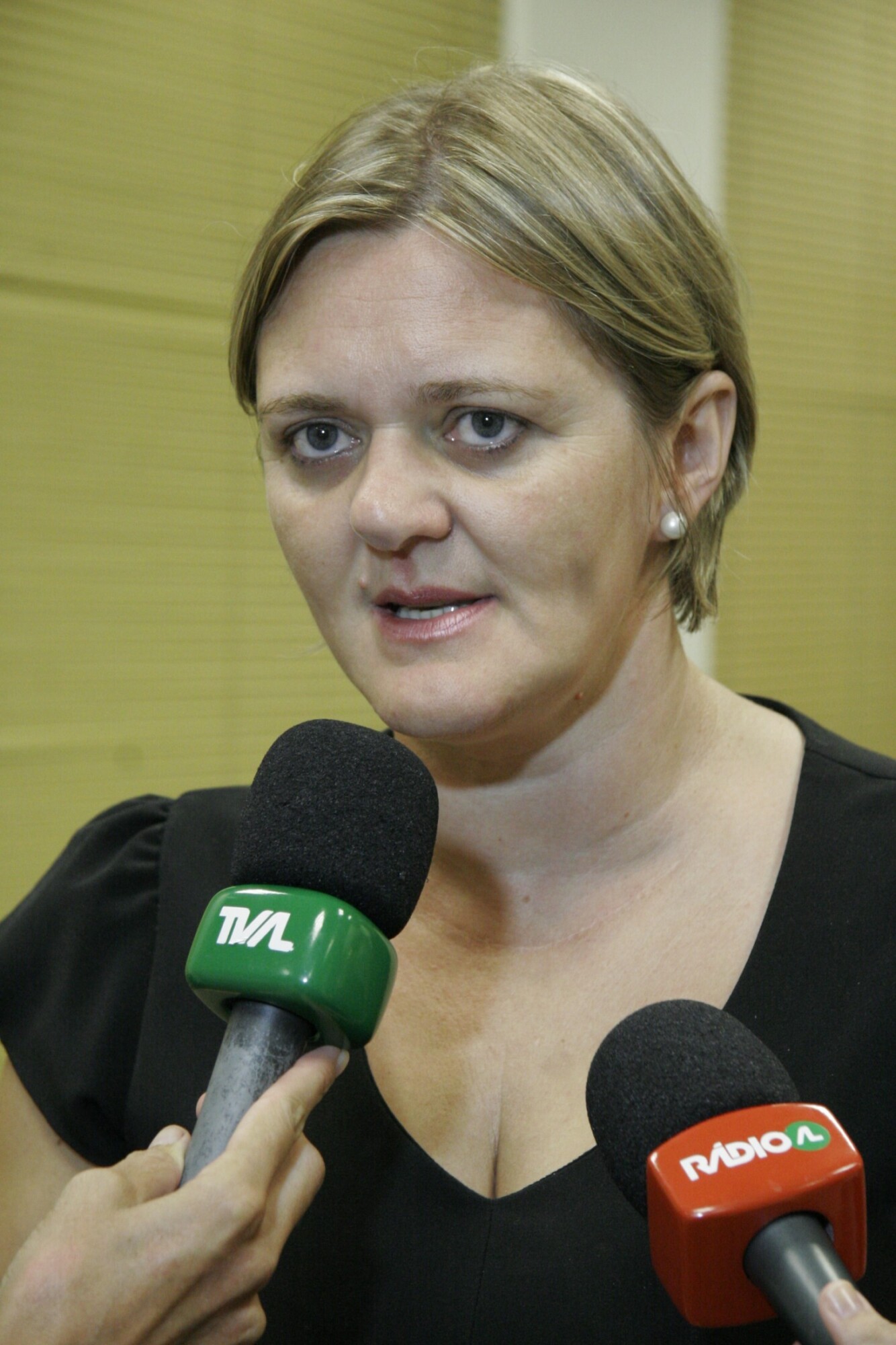 Deputada Luciane Carminatti (PT)
