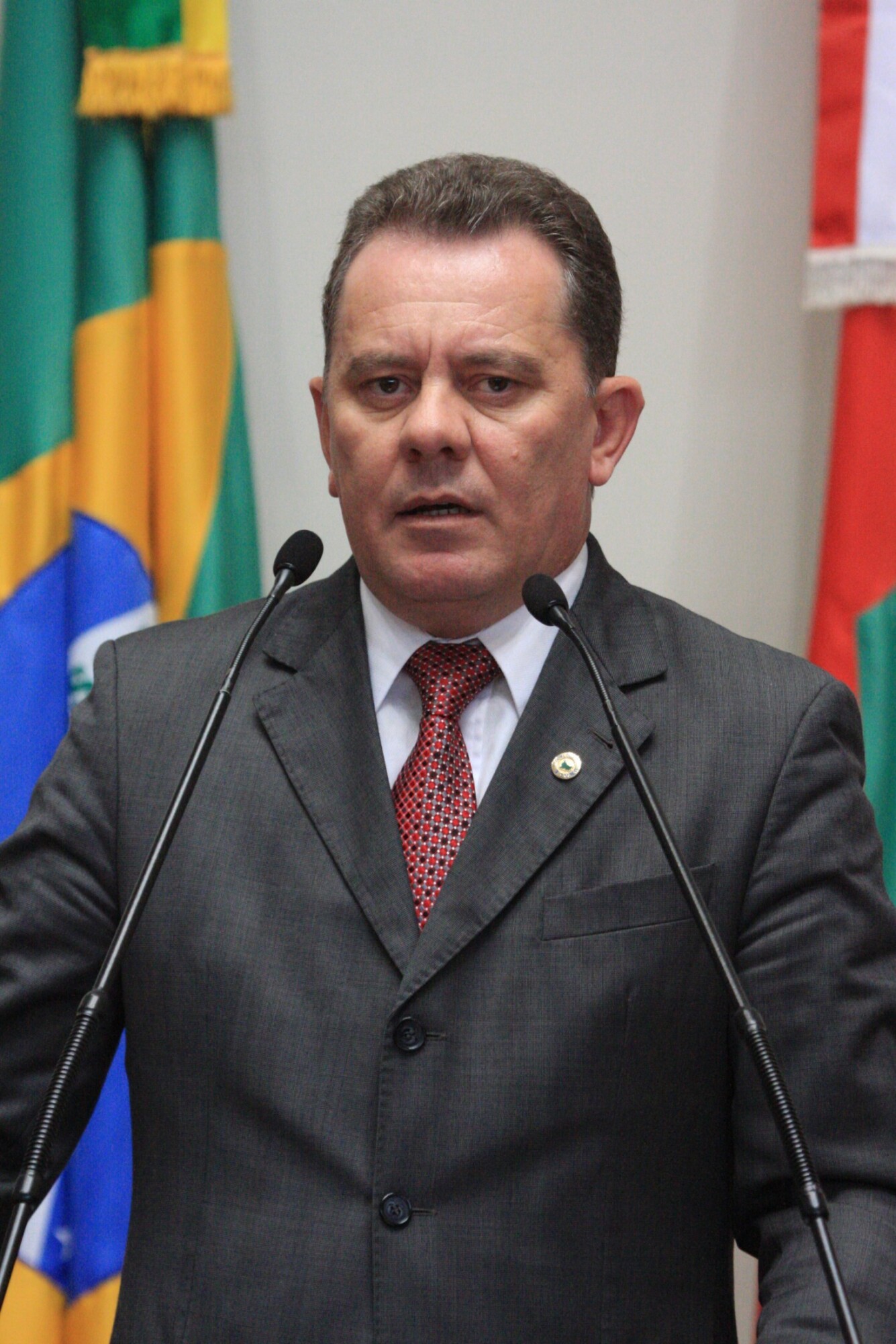 Ponticelli lamentou a demora na tramitação da reforma política